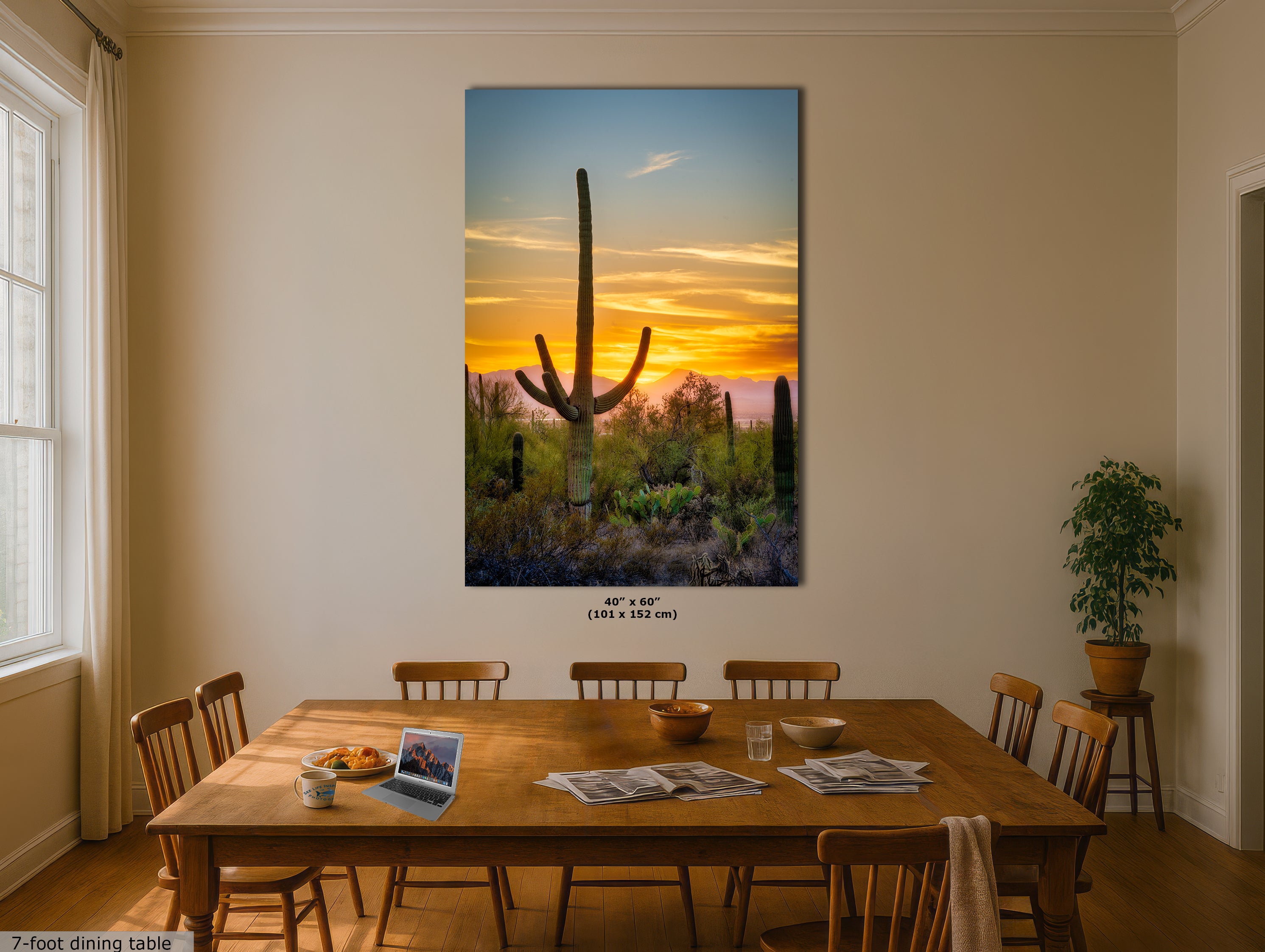 Saguaro National Park Arizona Desert Picture Nature Photo, Bohemian Style Relaxation Artwork, Southwestern Sonoran Desert House Decor