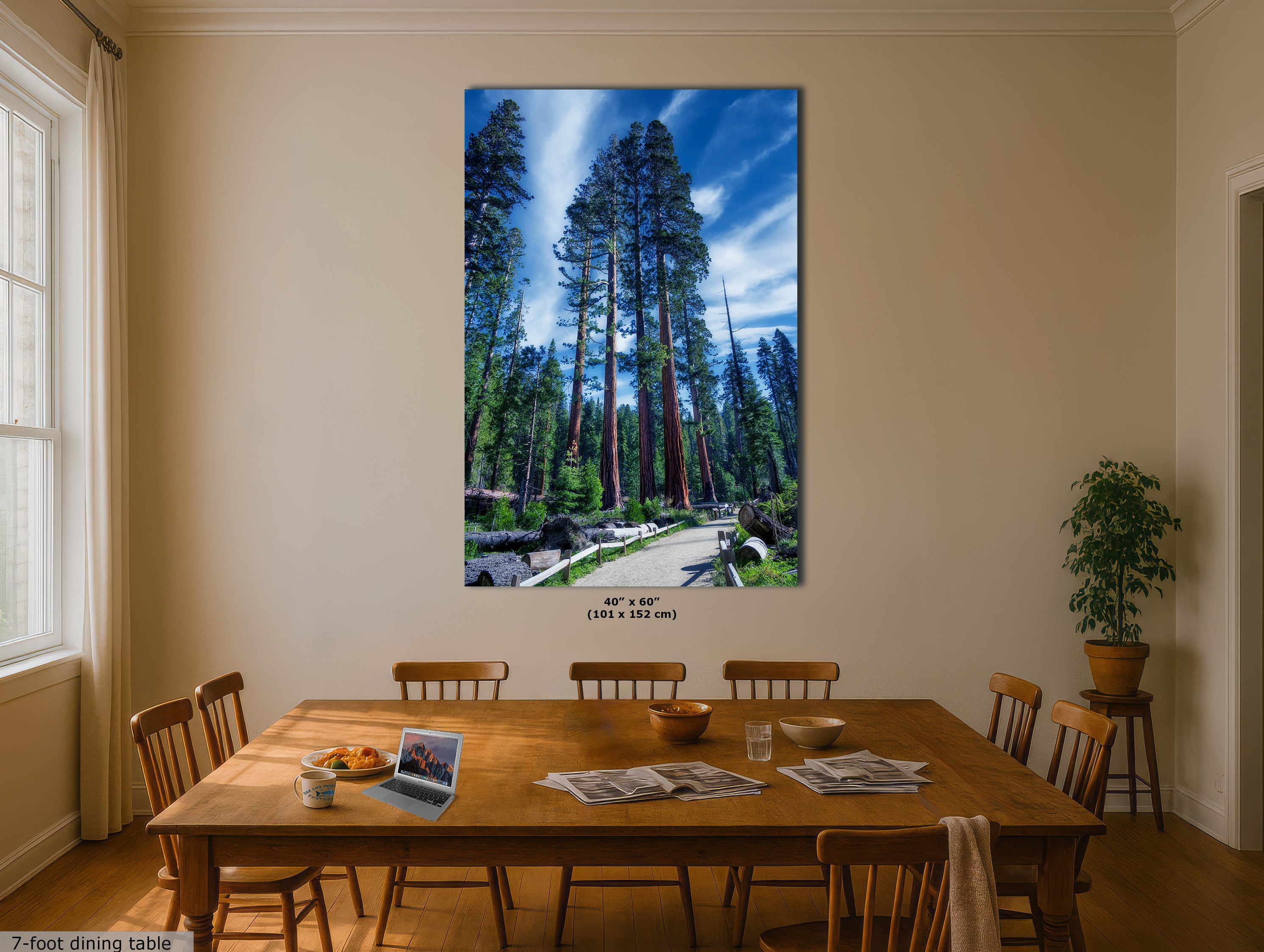 Giant Sequoia Tree Forest Picture Nature Photo, Redwood Trees Forest Bathing Decor, Relaxation Artwork for Home or Office