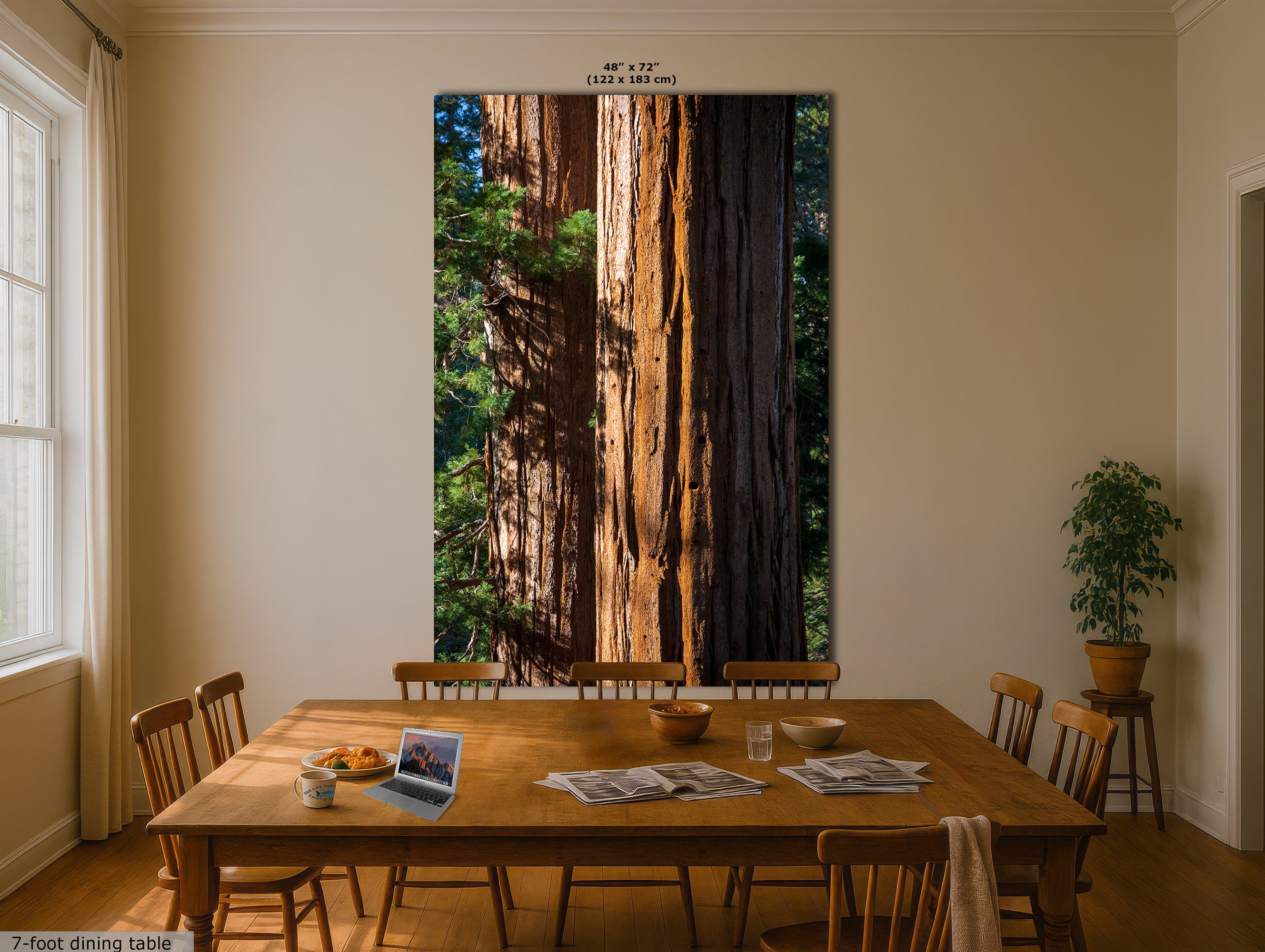 Giant Sequoia Tree Forest Picture Nature Photo, Redwood Trees Wall Art, Forest Bathing National Park Poster, Relaxation Decor