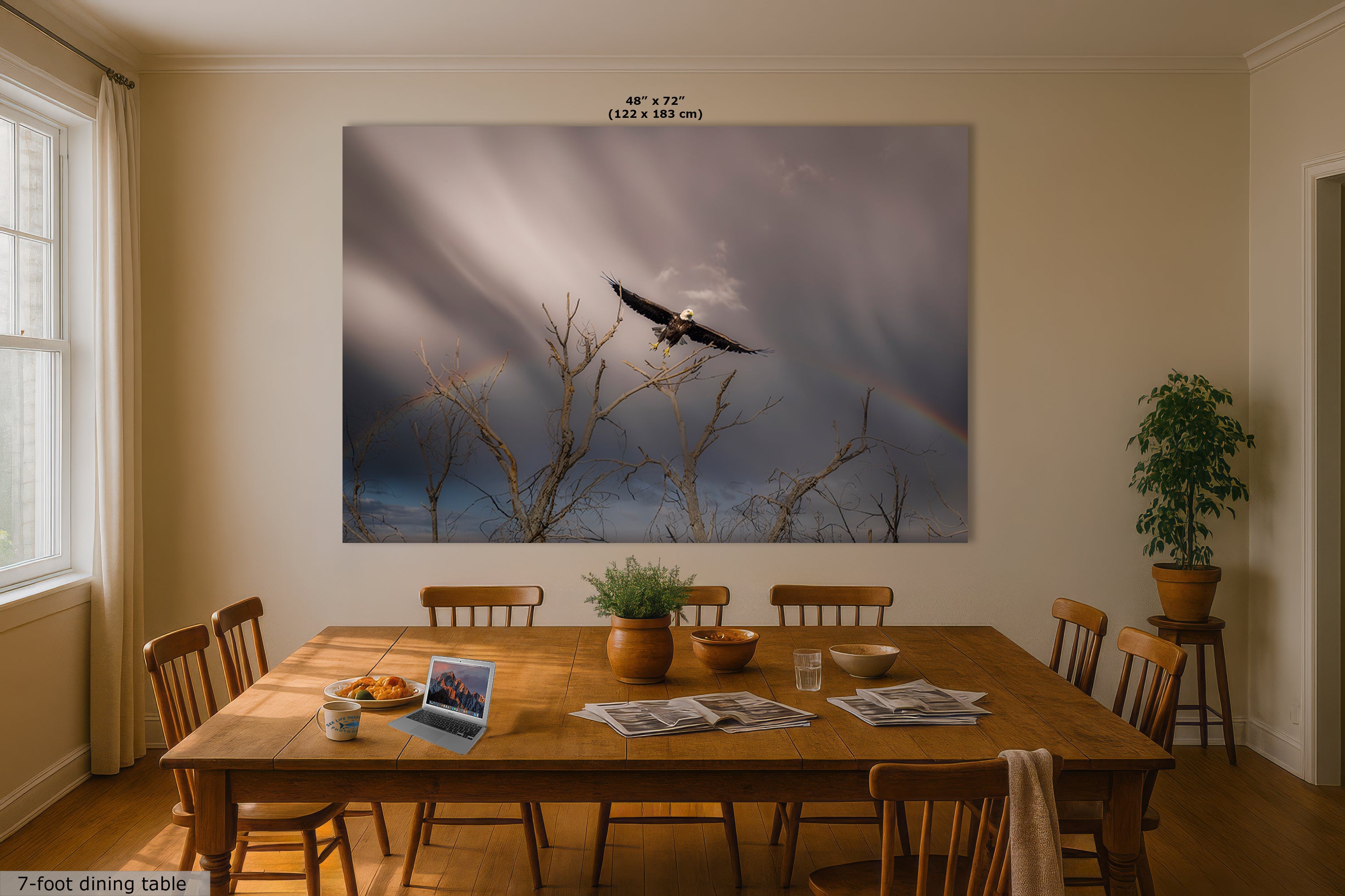 Soaring Bald Eagle Picture Wildlife Photography Wall Art, Nature Photo, Bird Photography, Rustic Cabin Decor, Office or Dorm Room Wall Decor