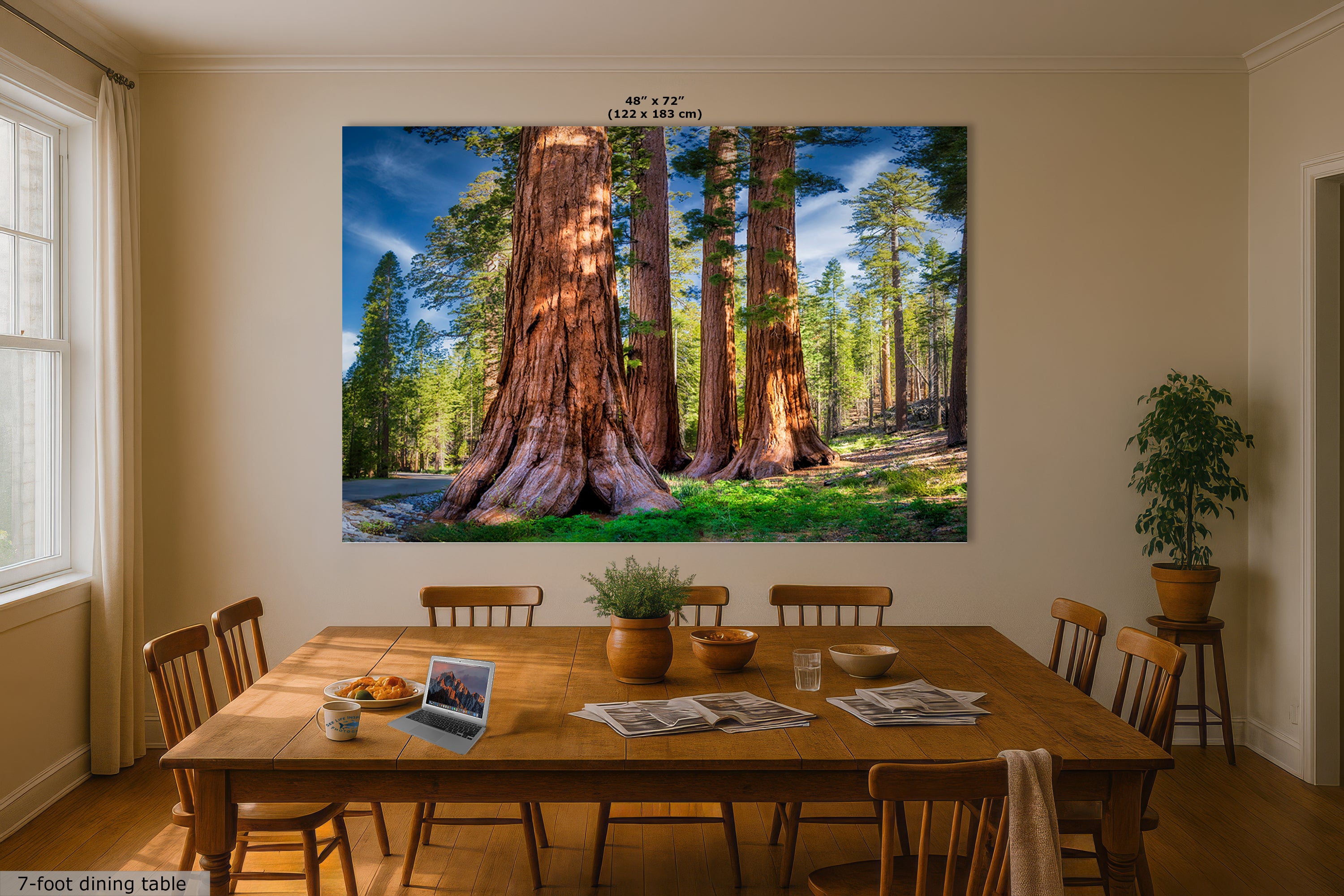 Giant Sequoia Tree Forest Picture Nature Photo, Redwood Trees Forest Bathing for Relaxation and Meditation in Living Room and Office