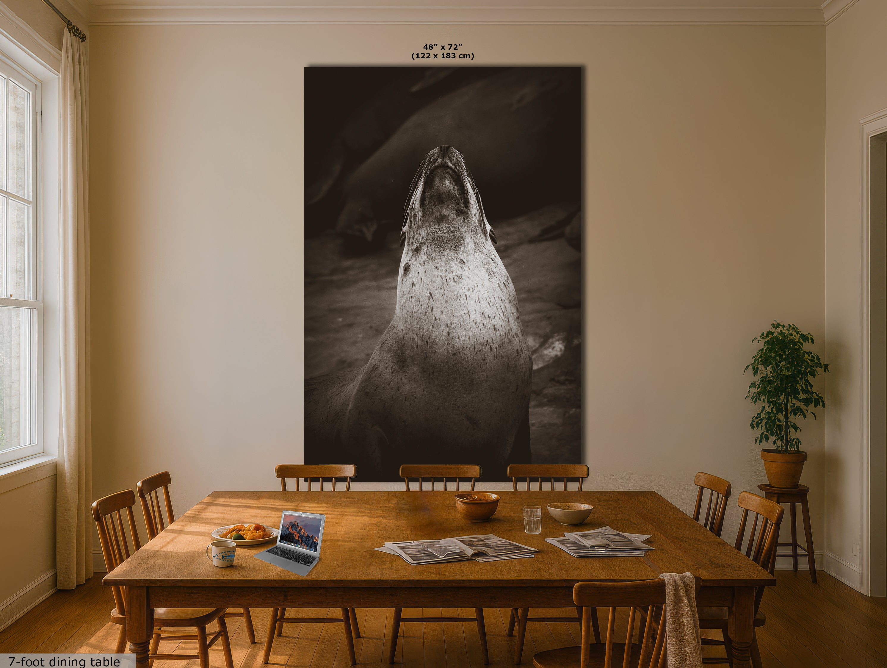 California Sea Lion Marine Mammal Wildlife Photography, Ocean Animals, Coastal House Decor, Nature Lover Gift, Marine Biology Artwork