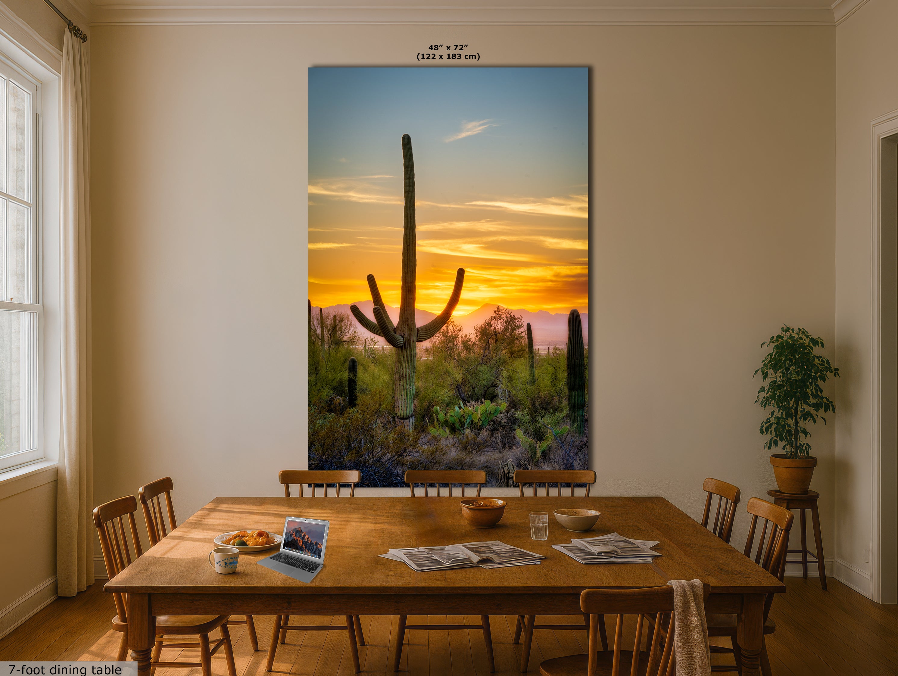 Saguaro National Park Arizona Desert Picture Nature Photo, Bohemian Style Relaxation Artwork, Southwestern Sonoran Desert House Decor