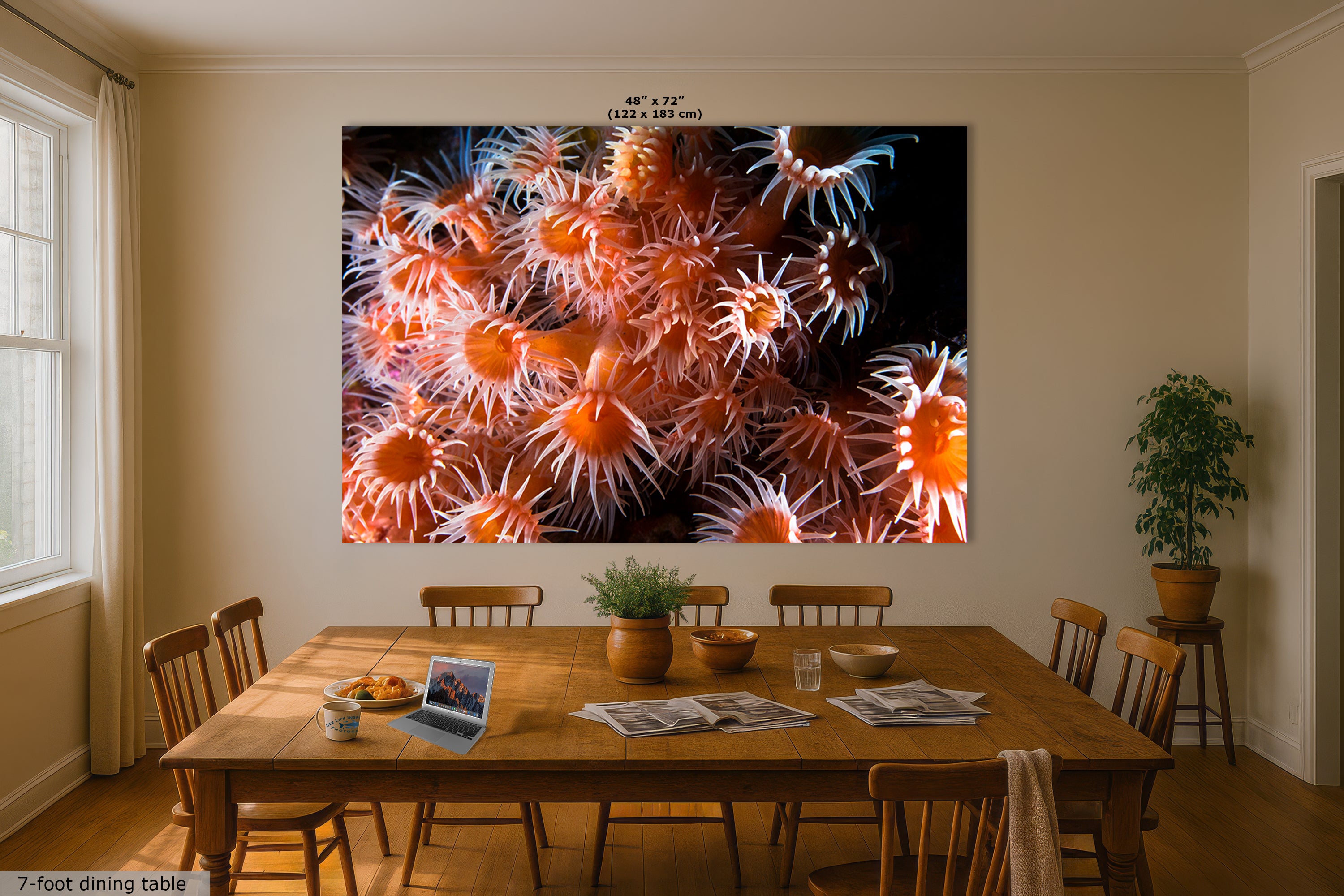 Sea Anemone Picture Ocean Life Underwater Scenery Nature Photo, Marine Biology Wall Art, Vibrant Orange Zoanthid Coral Reef, Ocean Decor