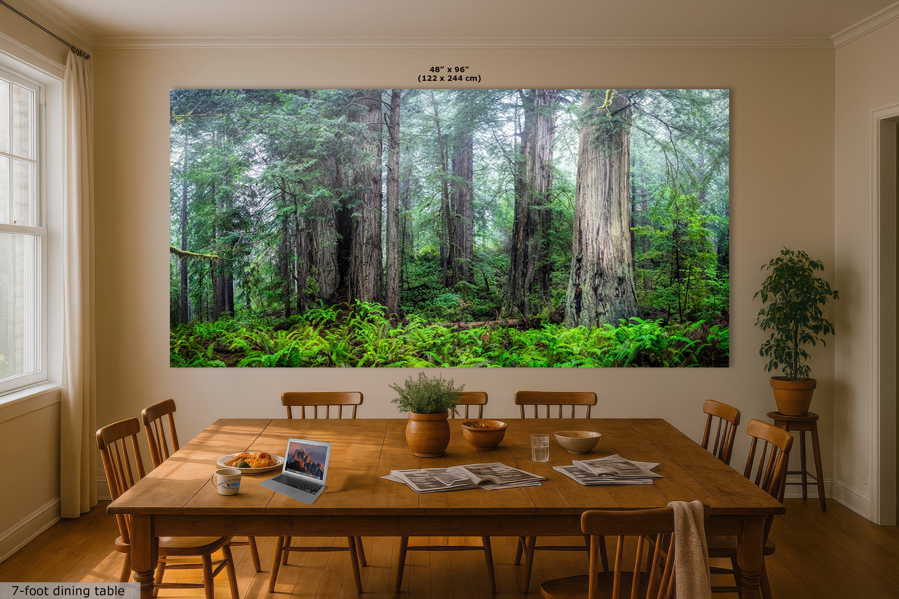 Redwood Trees Forest Picture Nature Photo, Forest Bathing in Misty California Redwoods Wall Art, for Relaxation in the Home and Office