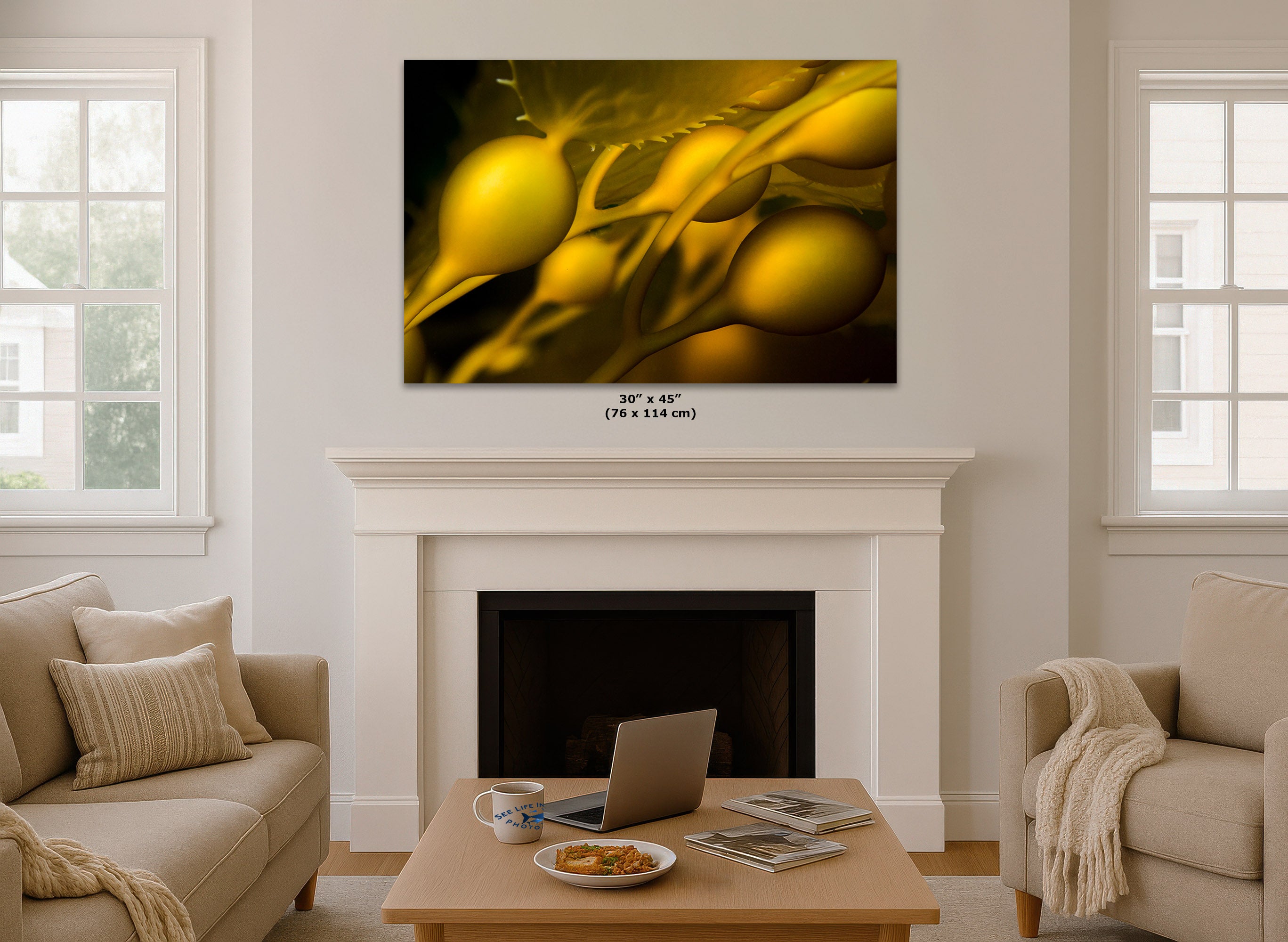 A wall art print showing a close-up abstract underwater scene on a dark background, displayed above a white fireplace mantel in a bright living room. Small text below the artwork reads 30 x 45 (76 x 114 cm).