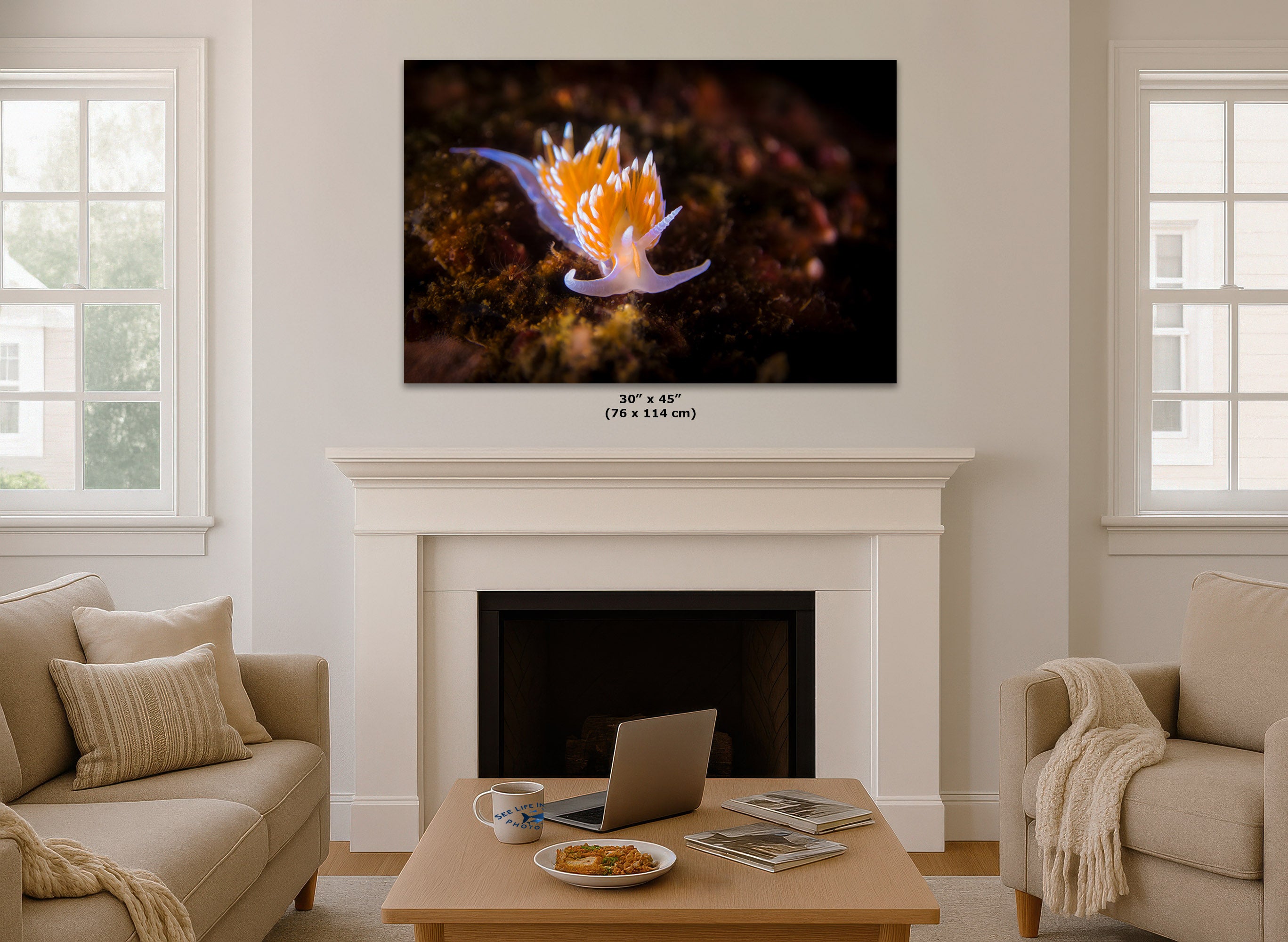 A wall art print of a colorful nudibranch hanging above a white fireplace in a bright living room. The print shows a close-up underwater scene with a bright orange and purple shellfish on a dark background.