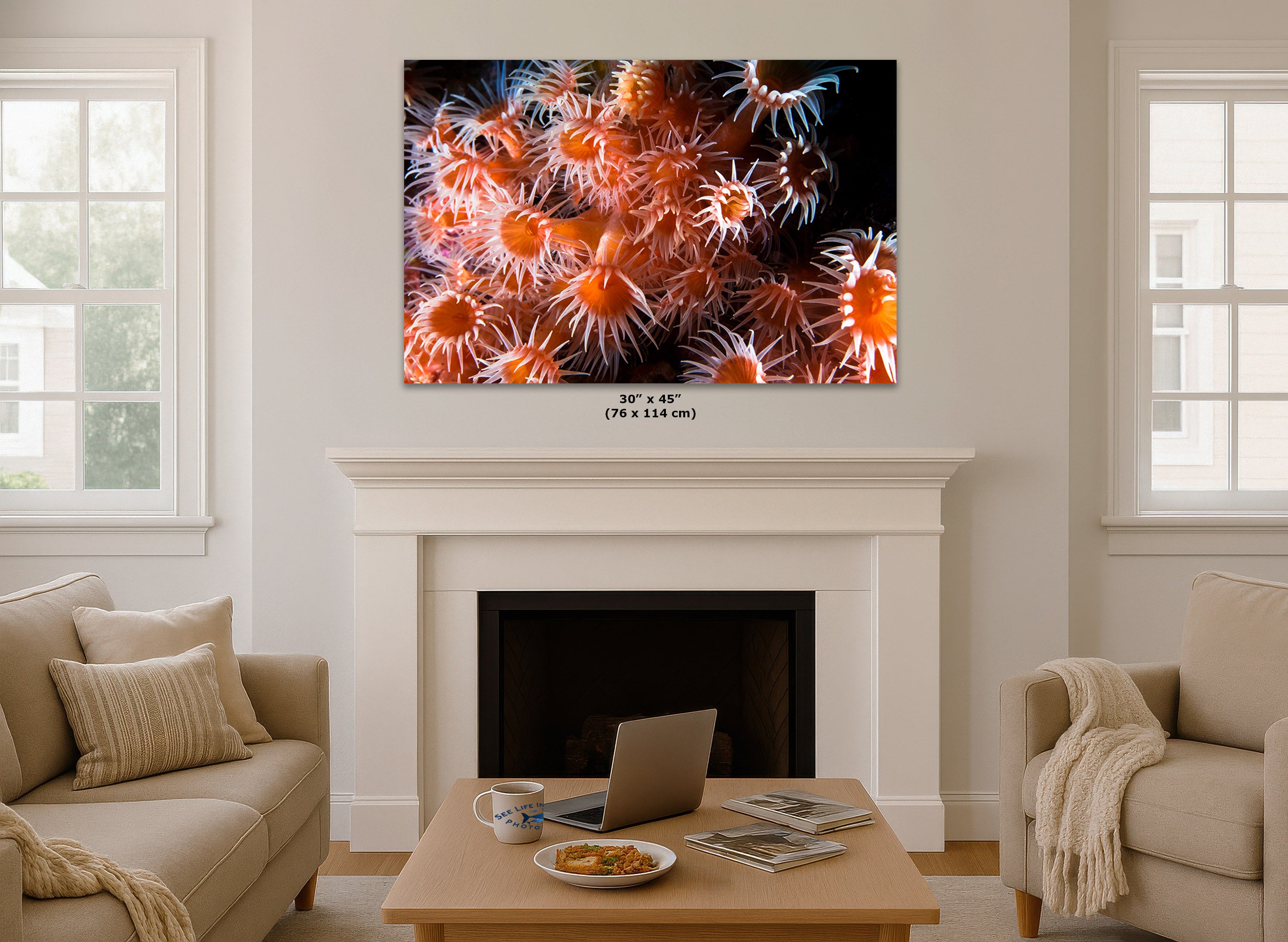 A wall art print showing a close-up of orange and red sea anemones on a black background, displayed above a white fireplace mantel in a bright living room. Small text below the print reads 30 x 45 (76 x 114 cm).