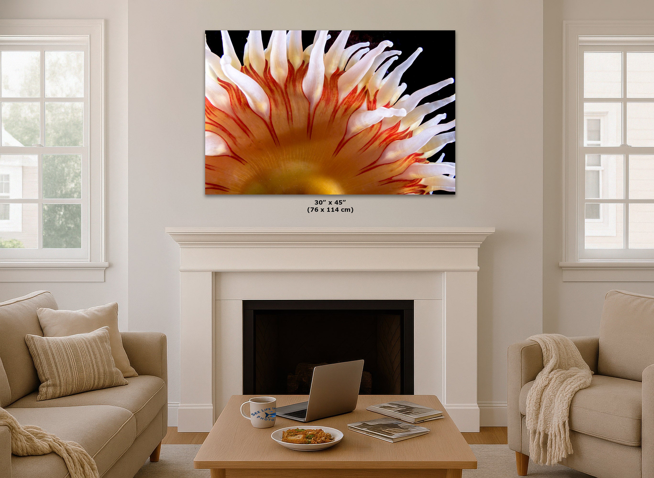 A wall art print of a close-up anemone flower in orange, yellow, and white against a black background, displayed above a white fireplace mantel in a bright living room. Small text below the print reads 30 x 45 in (76 x 114 cm).