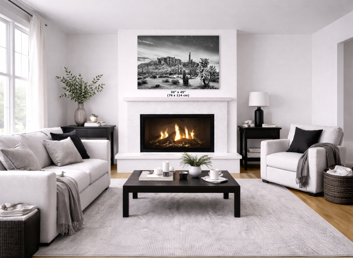 A modern living room featuring a white fireplace with a black fire, a large black and white landscape art print above it, a white sofa, a white armchair, and a dark wood coffee table on a light gray rug.