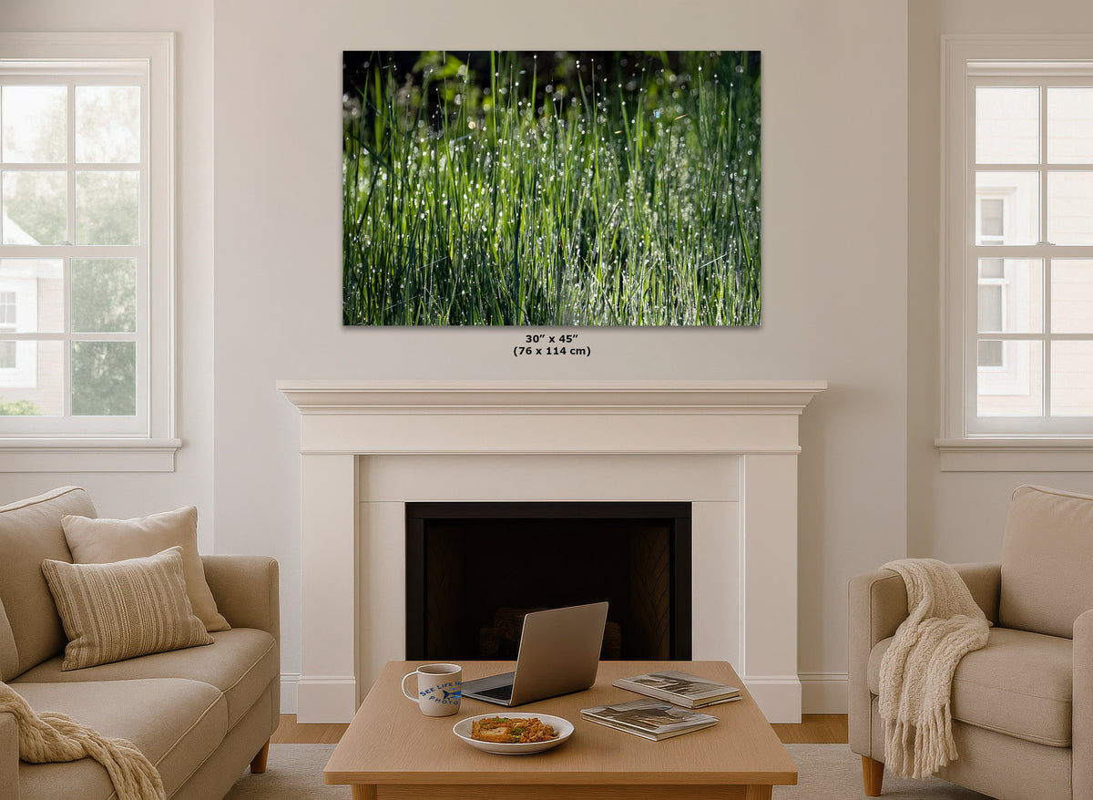 A wall art print showing a close-up of green grass with dew drops, displayed above a white fireplace mantel in a bright living room. Small text below the print reads 30 x 45 in (76 x 114 cm).