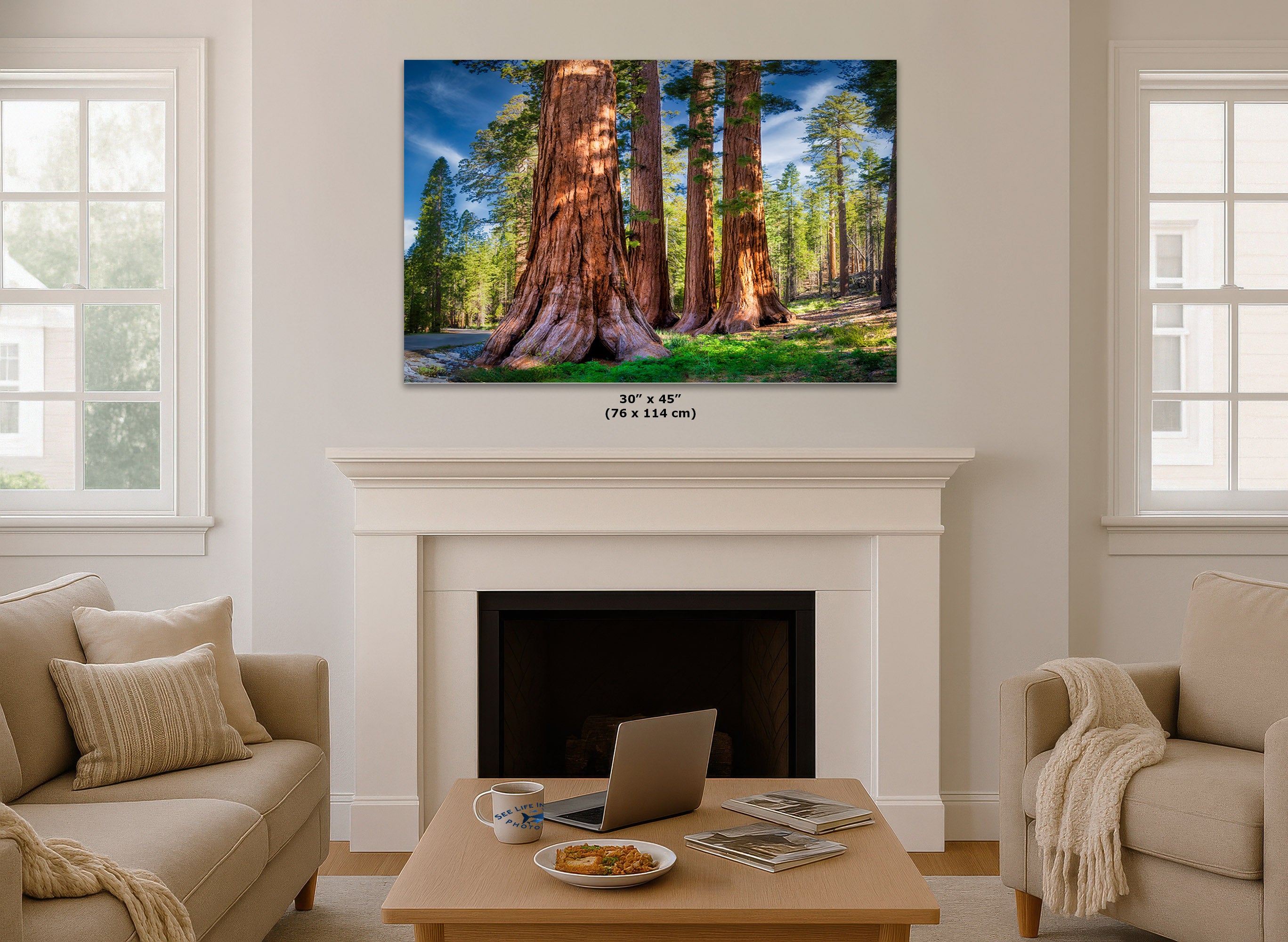 A framed wall art print showing a forest of giant sequoia trees, displayed above a white fireplace mantel in a bright, modern living room. The dimensions '30" x 45" (76 x 114 cm)' are printed below the artwork.