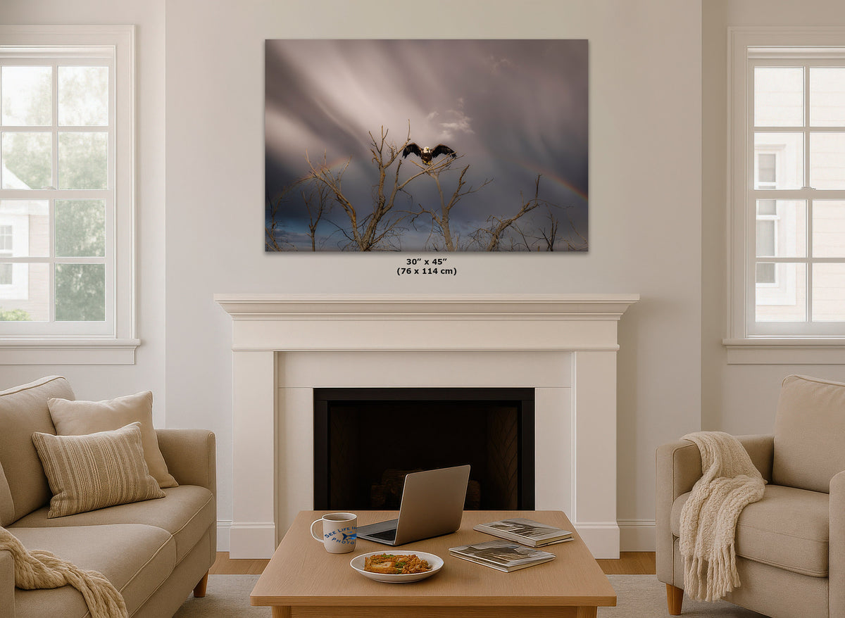 A wall art print showing a dark bird perched on bare tree branches against a stormy sky with a faint rainbow, displayed above a white fireplace mantel in a bright living room. Small text below the print reads 30 x 45 (76 x 114 cm).