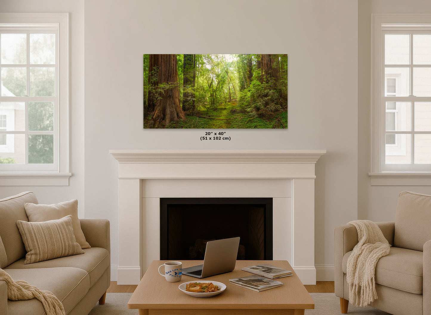 Redwood Tree Wall Art - Panoramic Forest Picture Nature Photo