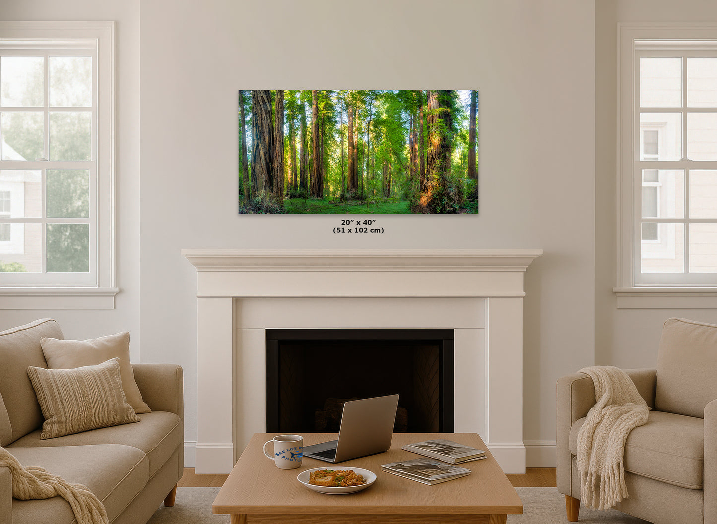 Redwood Trees Forest Picture Nature Photo, Forest Bathing Relaxation Artwork for Calming Meditation, Office and House Decor