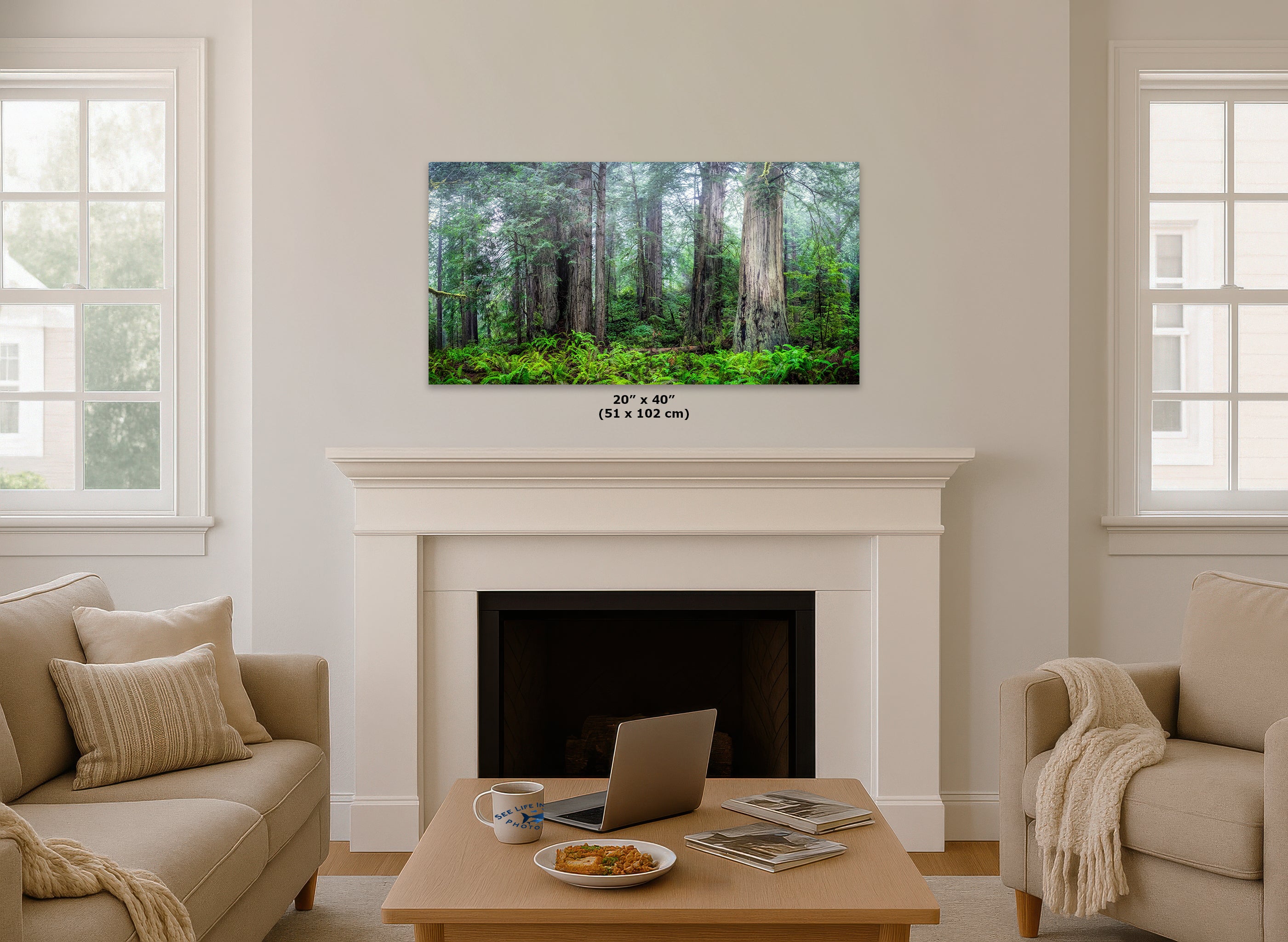 Redwood Trees Forest Picture Nature Photo, Forest Bathing in Misty California Redwoods Wall Art, for Relaxation in the Home and Office