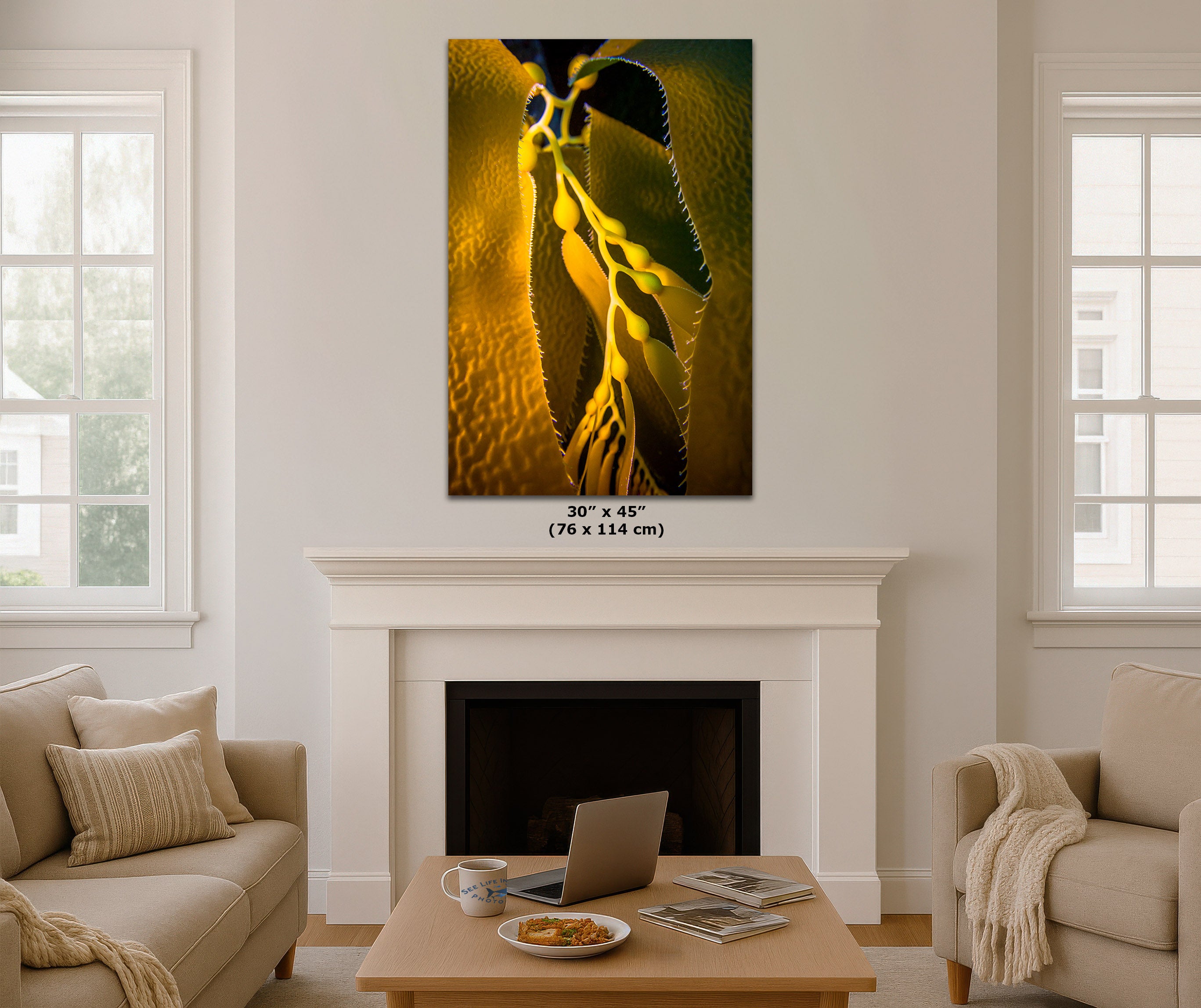 A wall art print displayed above a white fireplace in a bright living room. Small text below the artwork reads 30 x 45 in (76 x 114 cm).