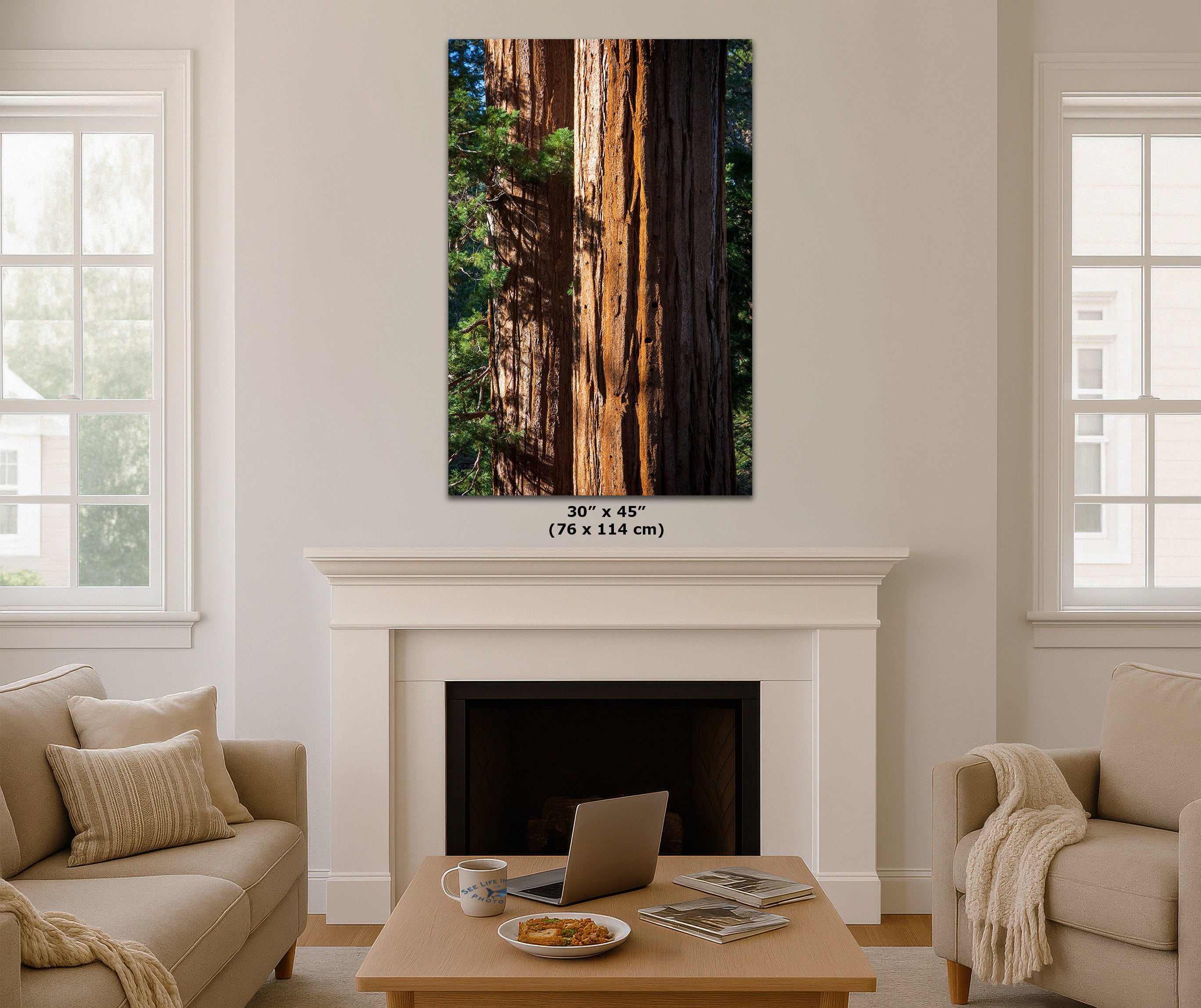 Living room with a large fireplace and a tall vertical Sequoia bark wall art hanging over the fireplace.