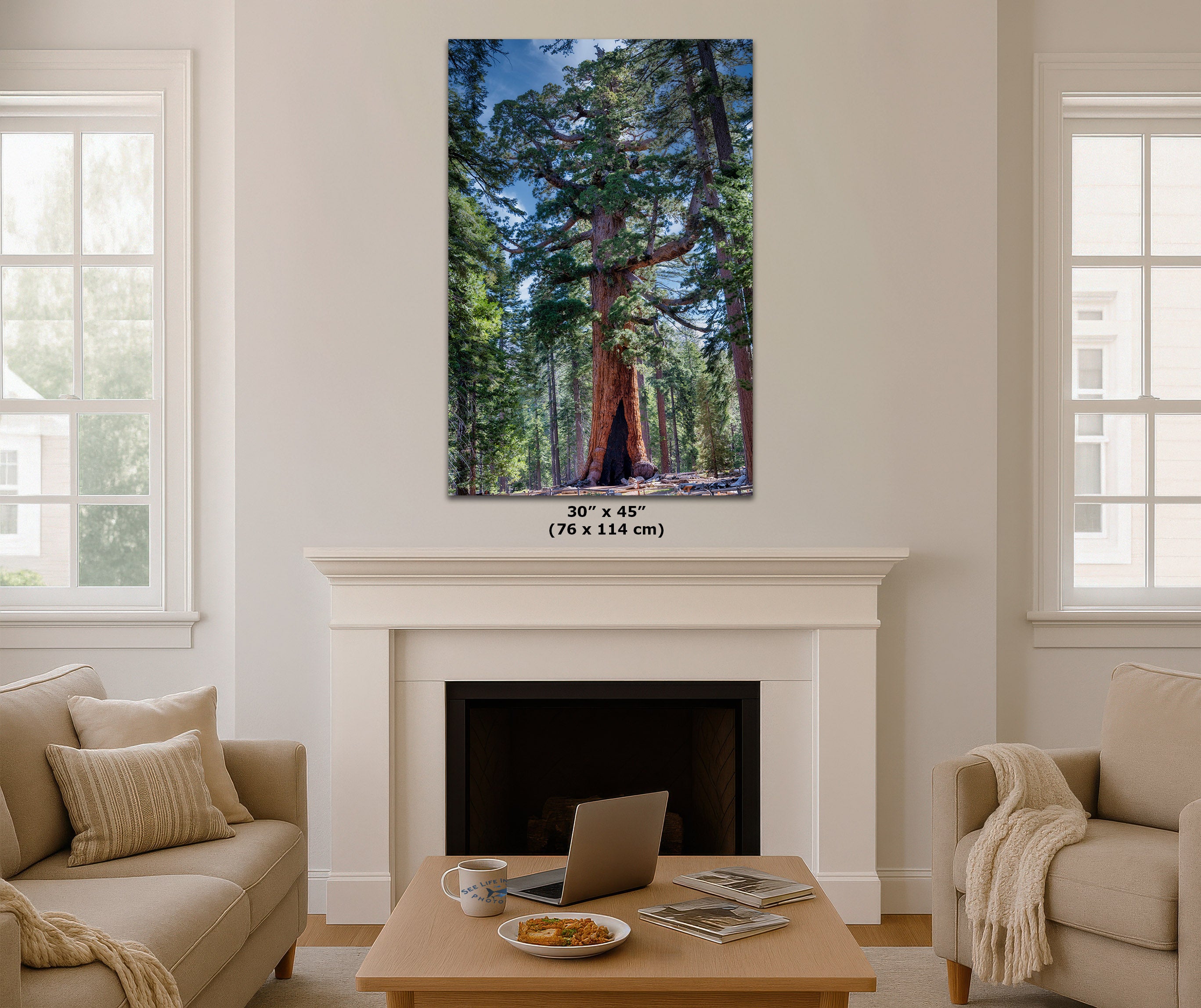 A vertical canvas print of a giant sequoia forest hanging on a wall above a white fireplace in a modern living room setting. The print features a massive red-brown sequoia tree surrounded by tall green trees under a blue sky.