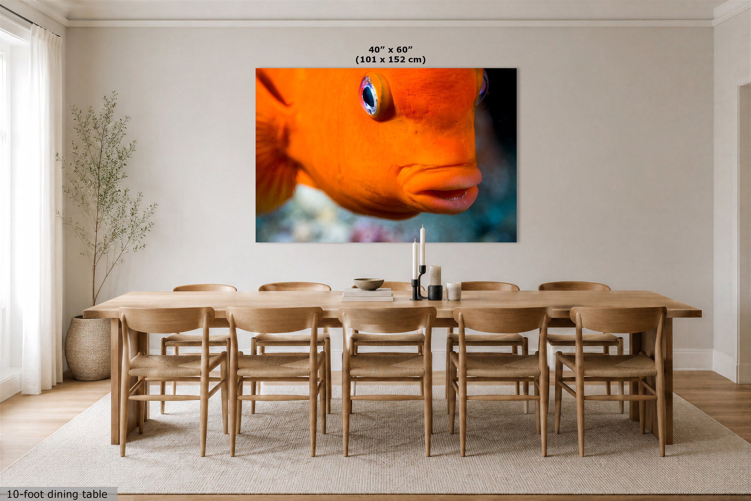 A large rectangular wall art print showing a close-up orange fish with blue eyes, displayed above a wooden dining table and chairs in a bright modern room. Text at the top reads 40" x 60" (101 x 152 cm), and a small note at the bottom left says 10-foot dining table.