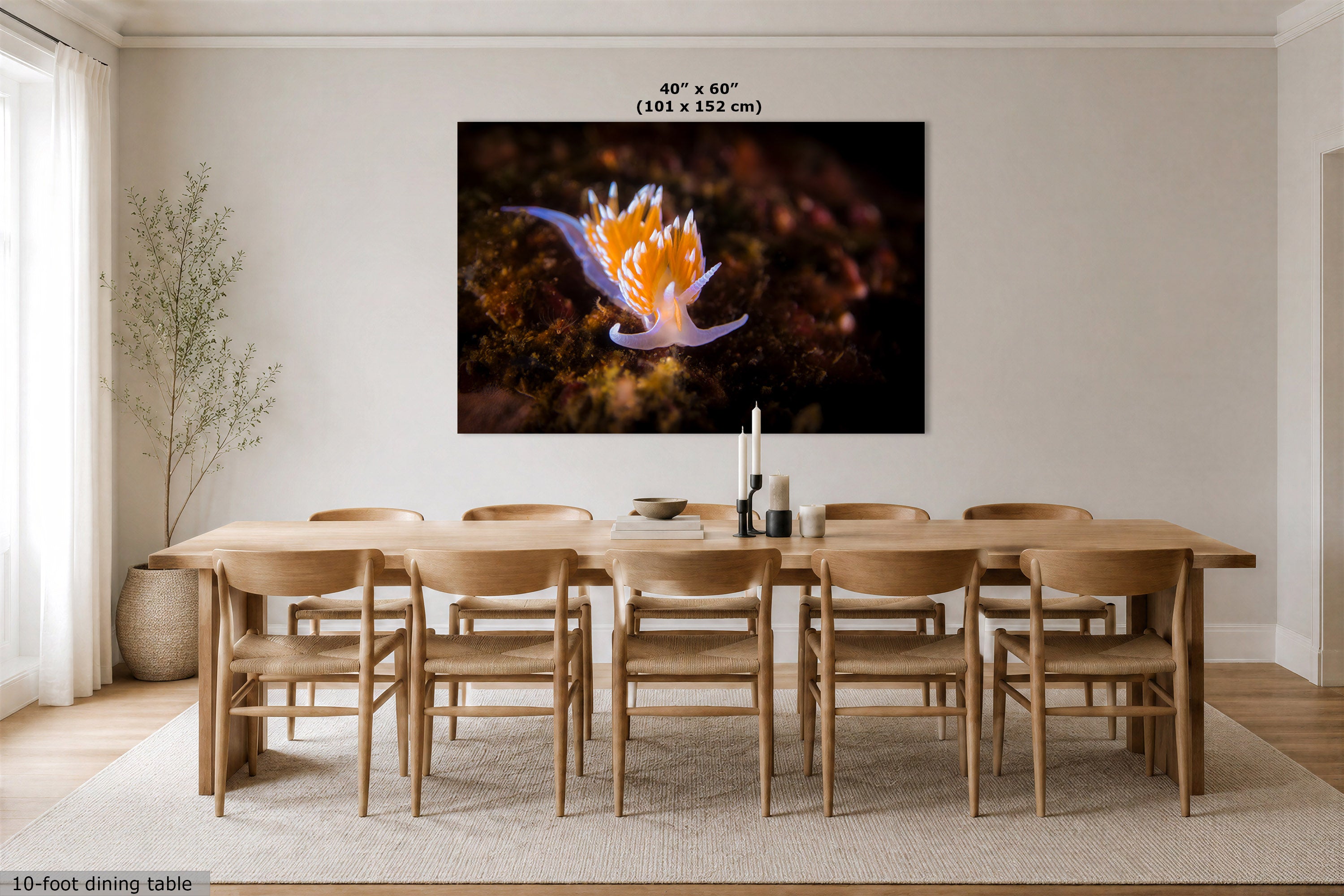 A large wall art print showing a vivid orange and purple nudibranch undersea scene, displayed in a modern dining room above a wooden dining table and chairs. The print has a text overlay indicating its size as 40" x 60" (101 x 152 cm).