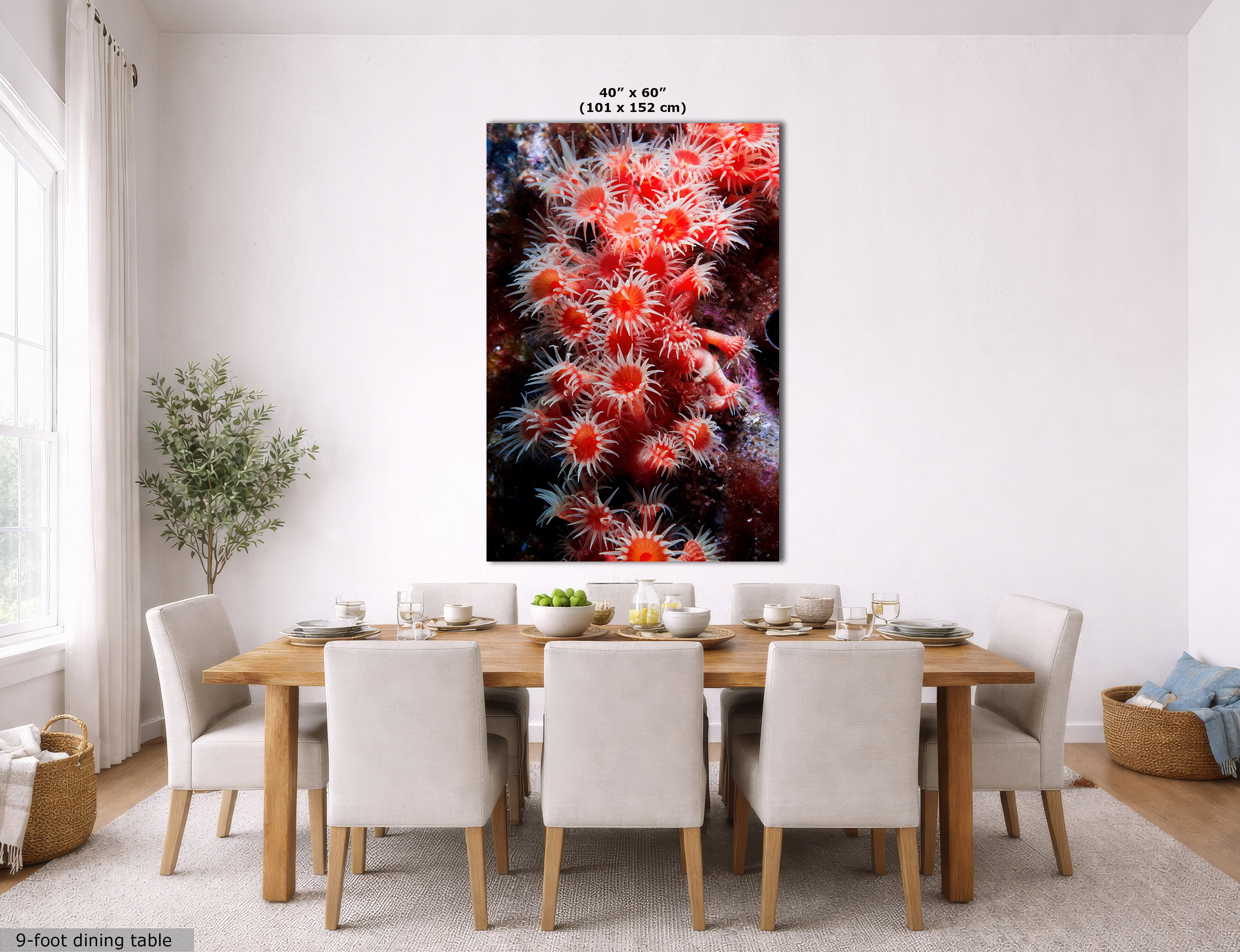 A large vertical wall art print showing a close-up of bright orange-red sea anemones on a dark background, displayed above a wooden dining table in a modern dining room. The print includes size text at the top and a note at the bottom left.