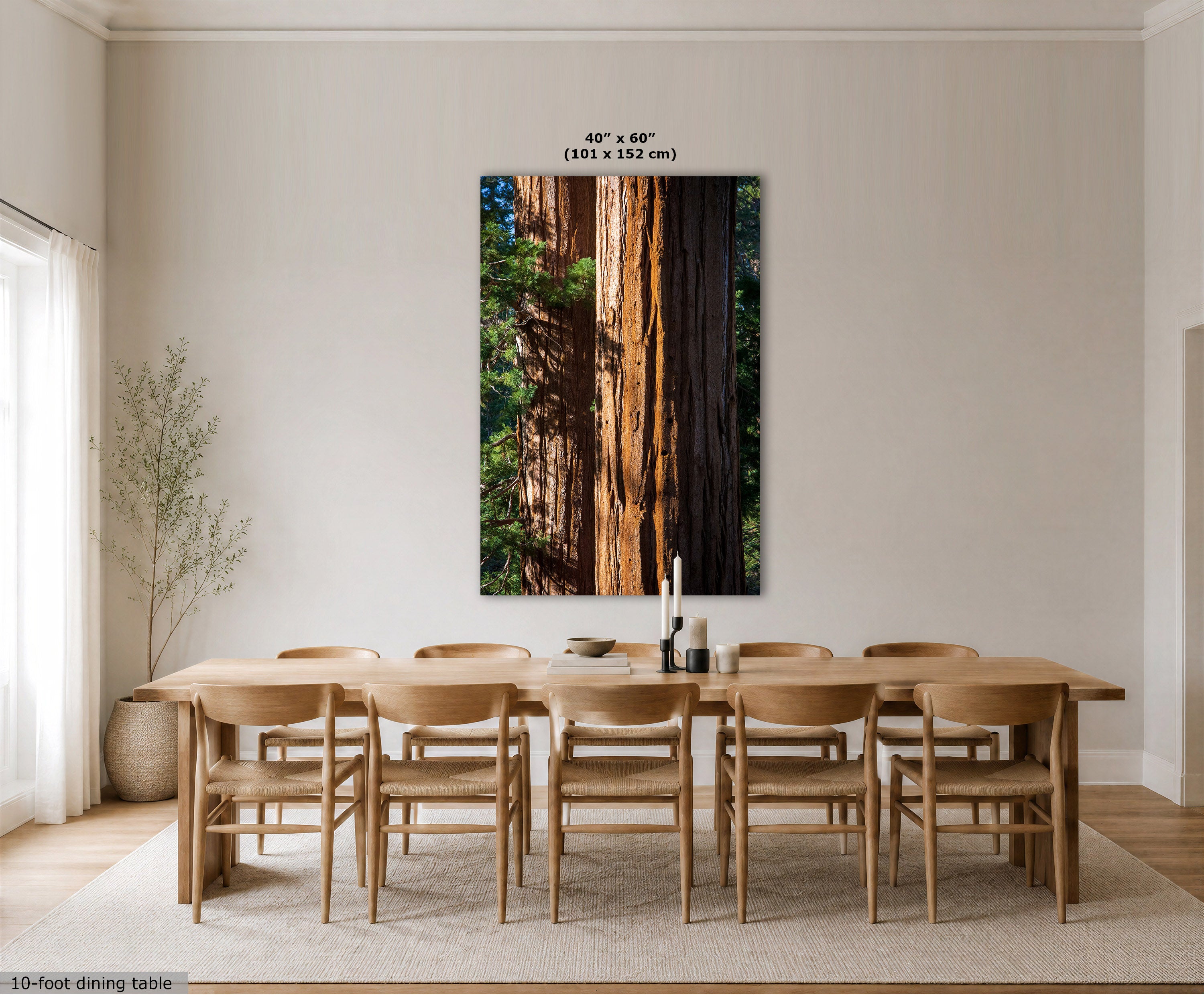 A large vertical wall art print depicting giant redwood trees, displayed in a modern dining room setting above a wooden dining table and chairs. The print features a split design with warm brown and orange tree trunks on one side and dark green forest foliage on the other.