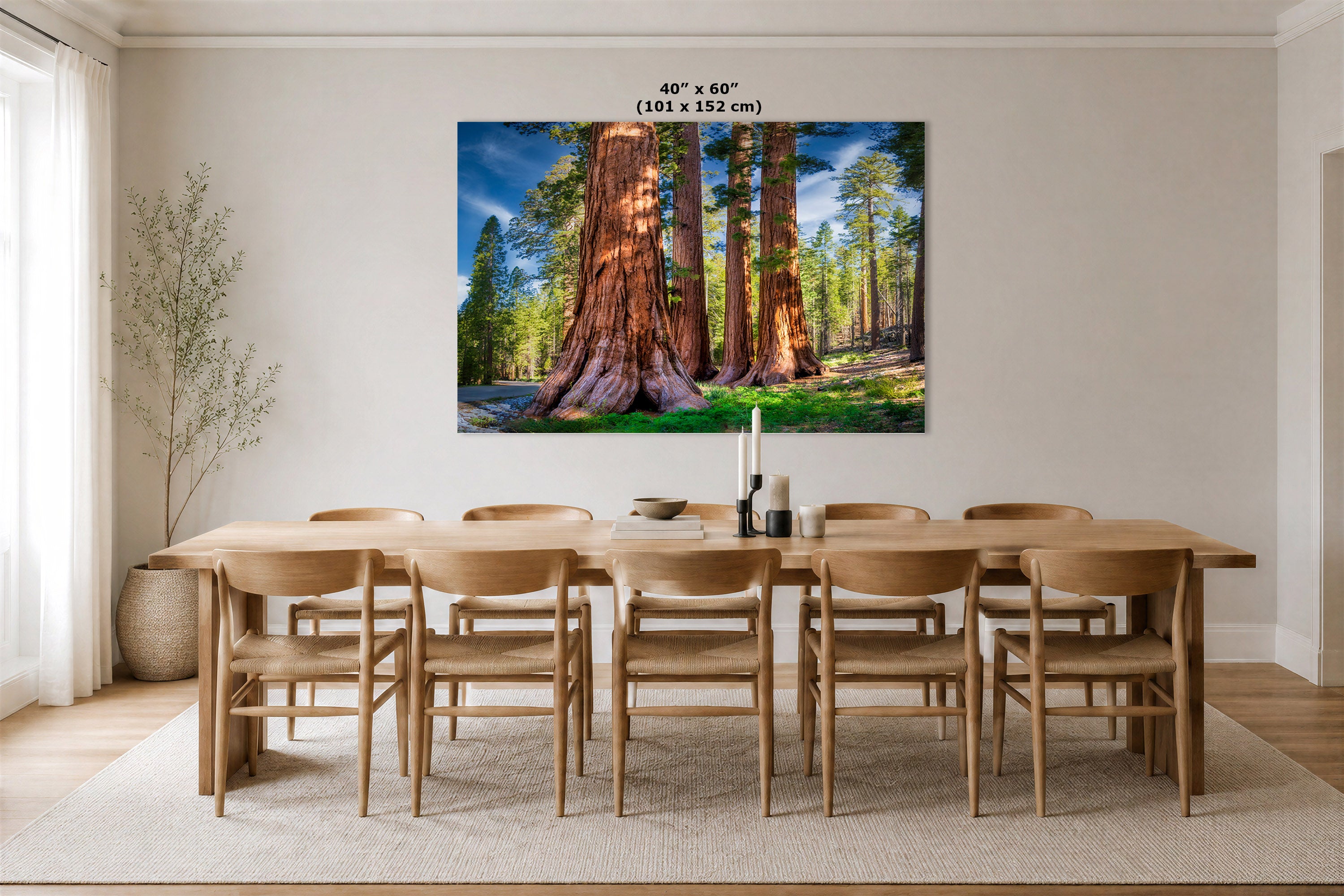 A large wall art print depicting giant sequoia trees in a forest, displayed above a wooden dining table and chairs in a modern dining room. The print includes a size label at the top indicating 40" x 60" (101 x 152 cm).