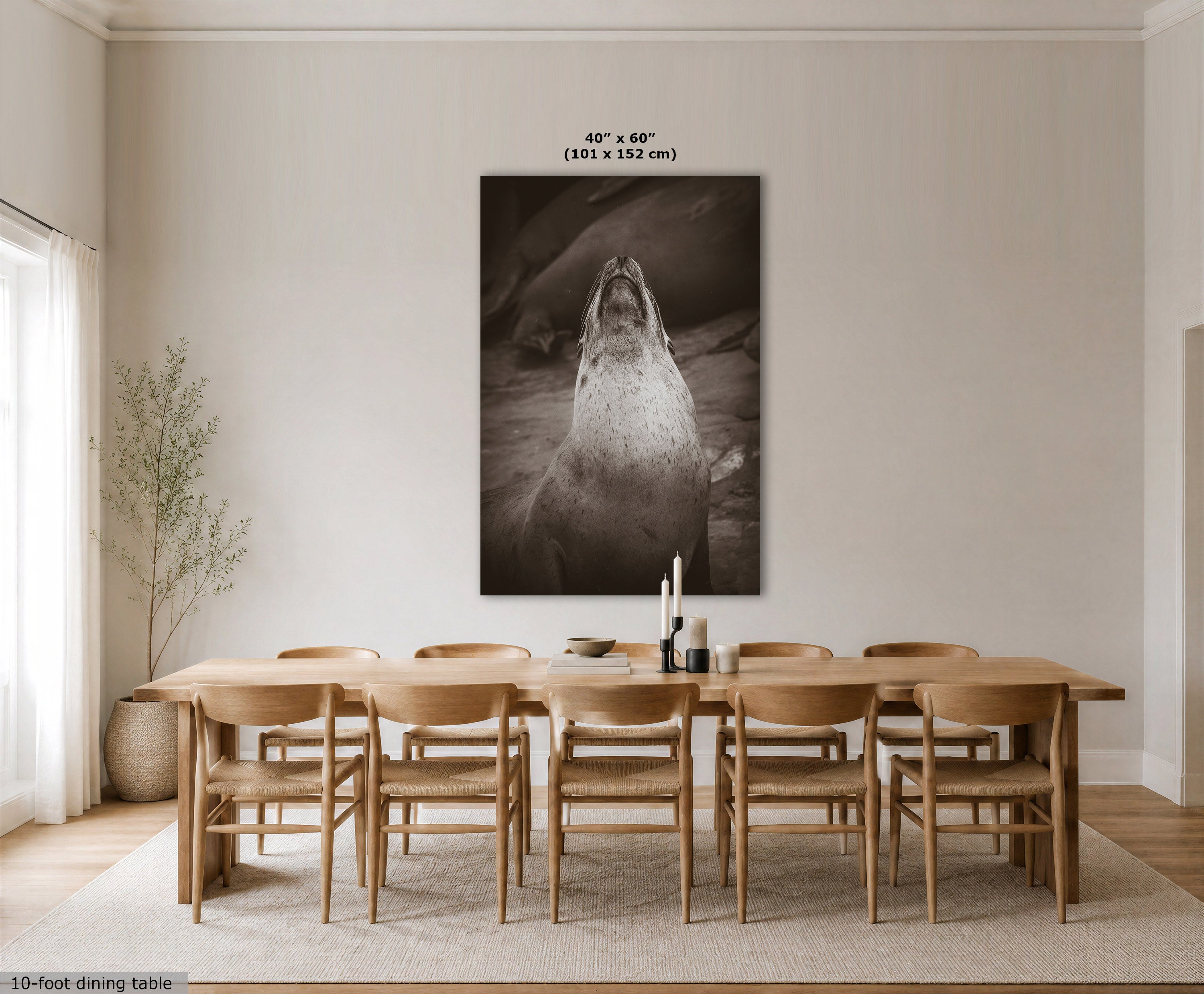 A large black and white wall art print of a seal or sea lion is displayed above a wooden dining table and chairs in a bright, modern dining room. The print has a text overlay indicating its size as 40 x 60 inches (101 x 152 cm).