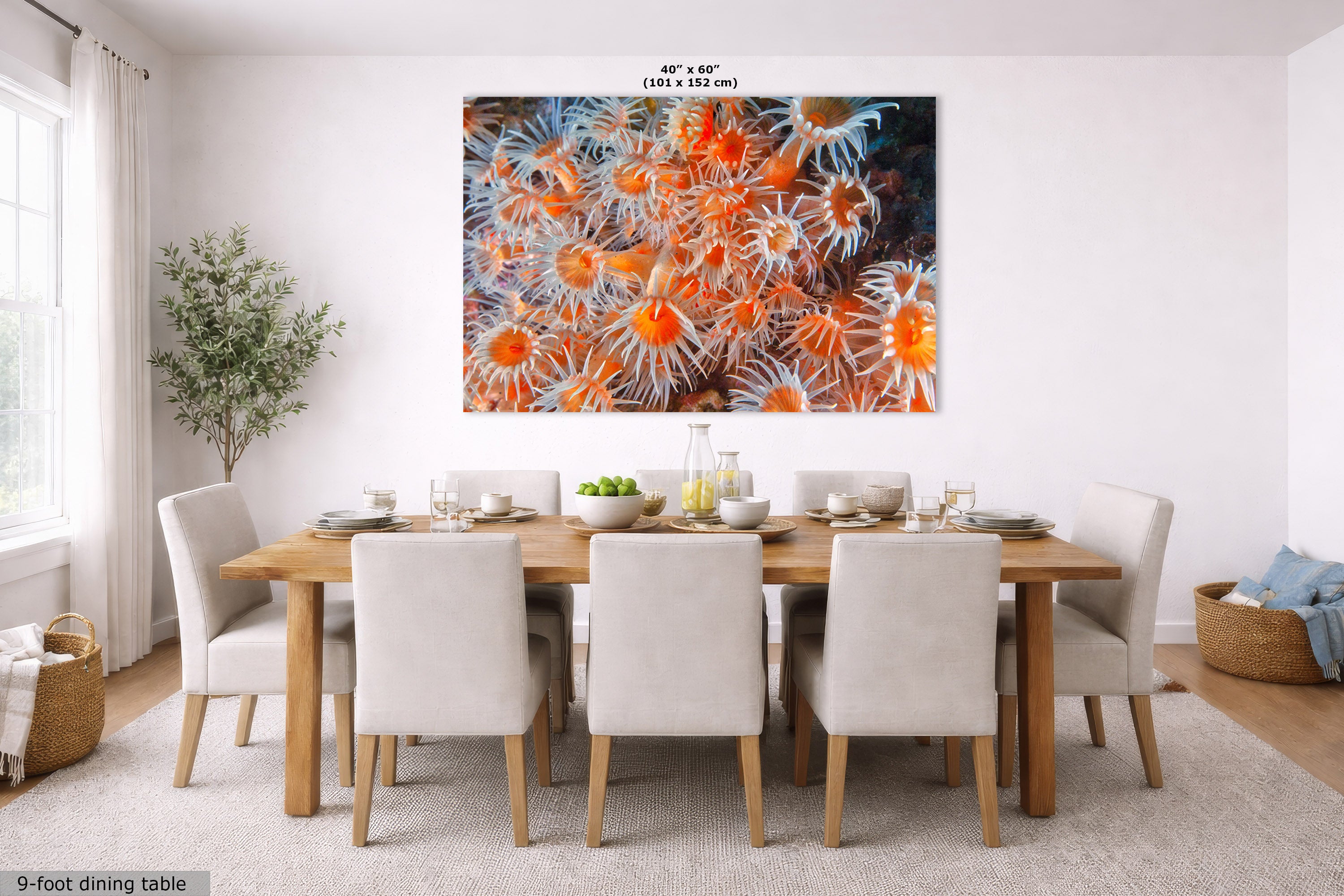 A large wall art print depicting vibrant orange and white sea anemones is displayed in a bright, modern dining room above a wooden dining table and upholstered chairs. The image includes a size label at the top of the artwork.