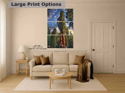 Giant Sequoia Tree Art, Redwood Forest Picture, Nature Photo Inspired Wall Decor