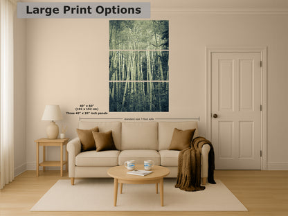 Aspen Tree Forest Picture Nature Photo, Forest Bathing Relaxation Artwork, Rustic Wall Art for Bedroom, Office, & House Decor