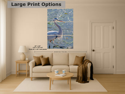 Great Blue Heron Art Wildlife Photography, Nature Wall Decor for Bird Lovers, Ocean Conservation, Relaxing Office or Room Artwork