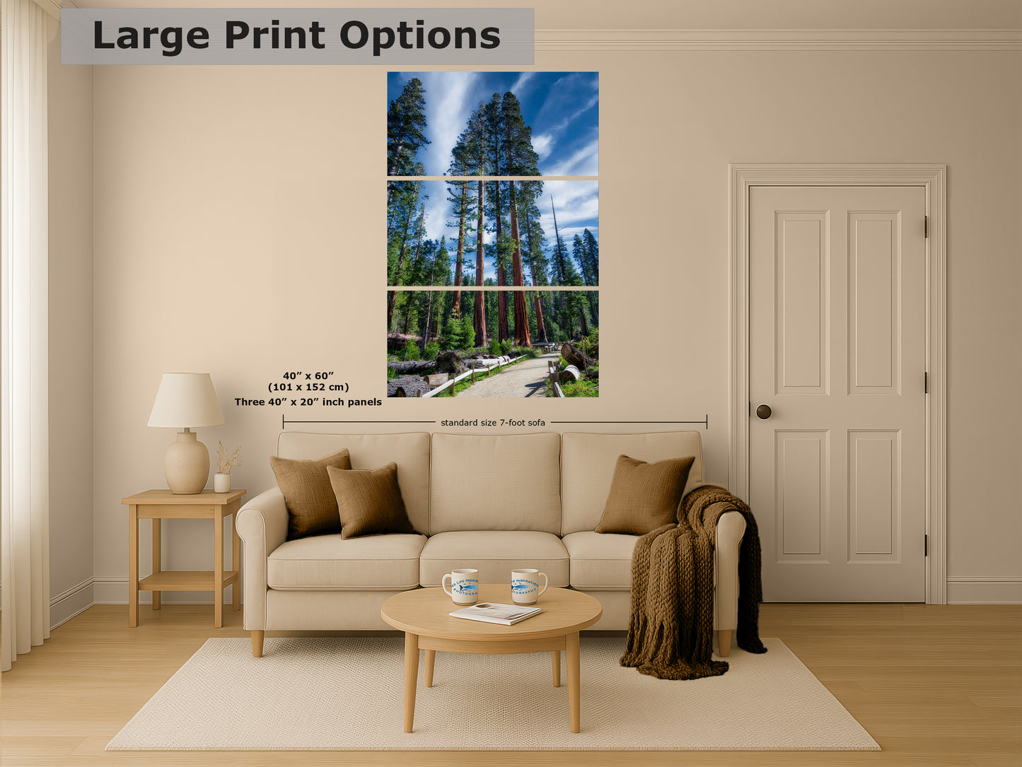 Giant Sequoia Tree Forest Picture Nature Photo, Redwood Trees Forest Bathing Decor, Relaxation Artwork for Home or Office