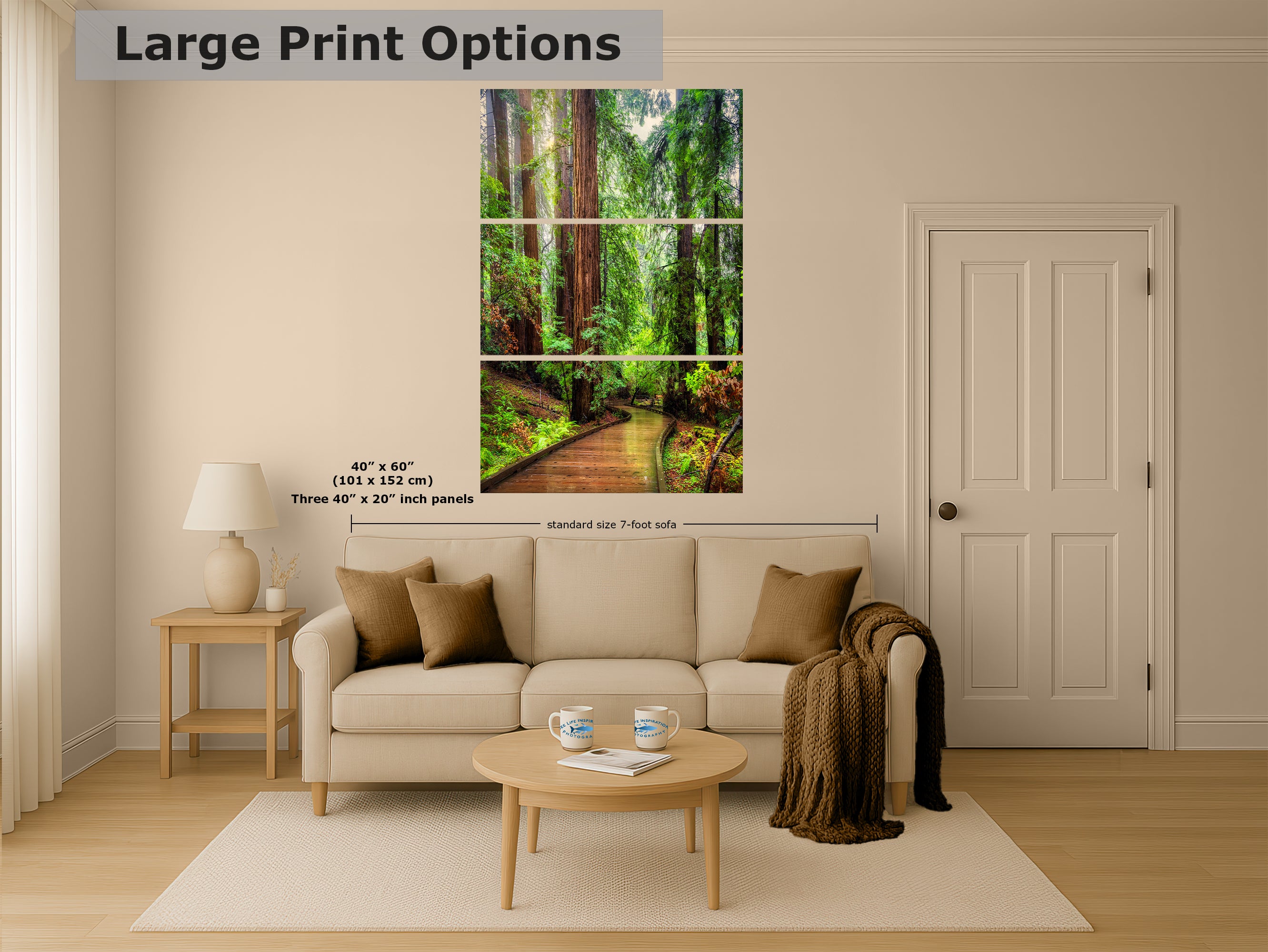 Redwood Trees Forest Picture Sunrise Nature Photo, Forest Bathing House Decor, Relaxing Wall Art for Meditation, Home and Office