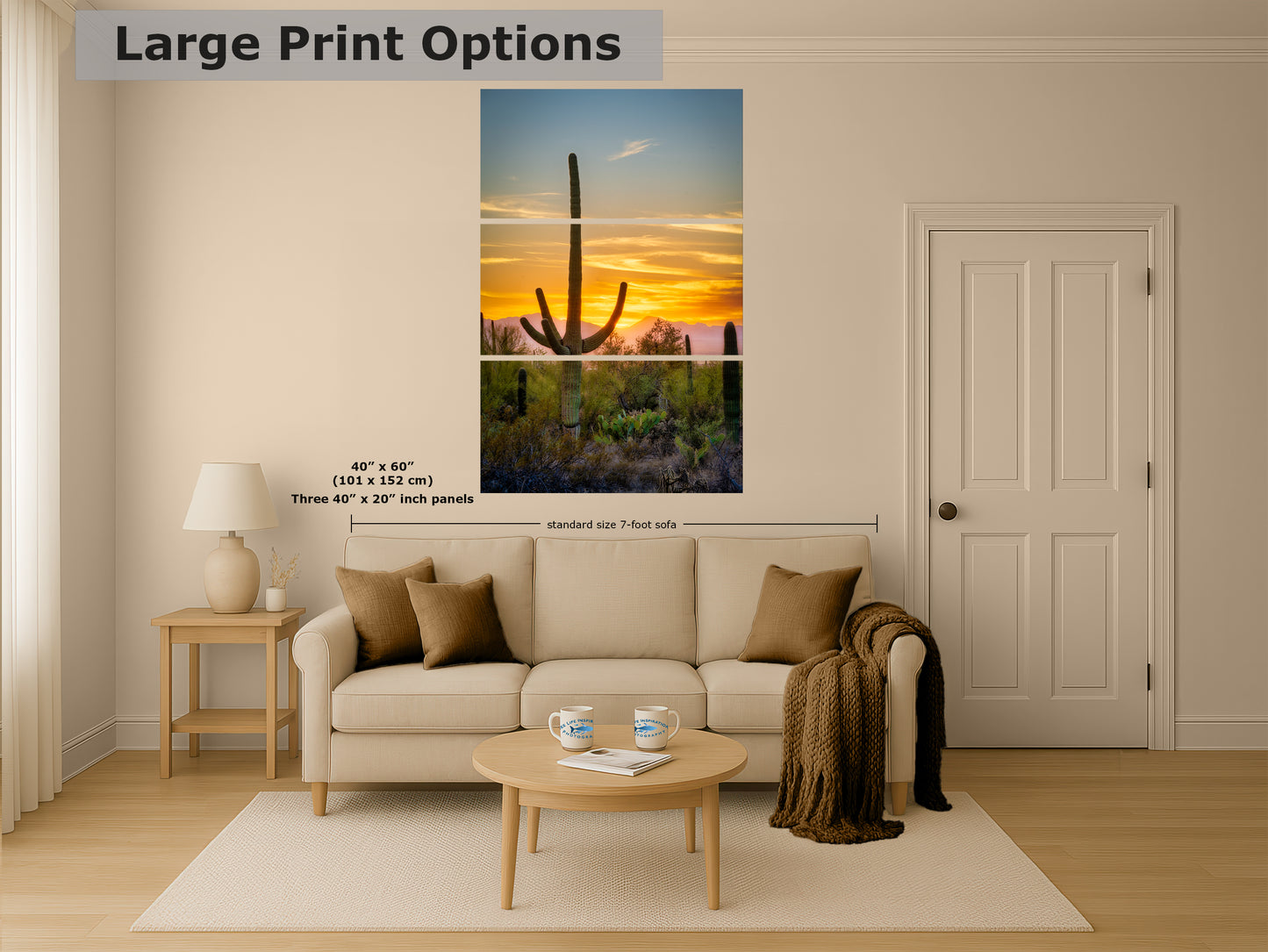 Saguaro National Park Arizona Desert Picture Nature Photo, Bohemian Style Relaxation Artwork, Southwestern Sonoran Desert House Decor