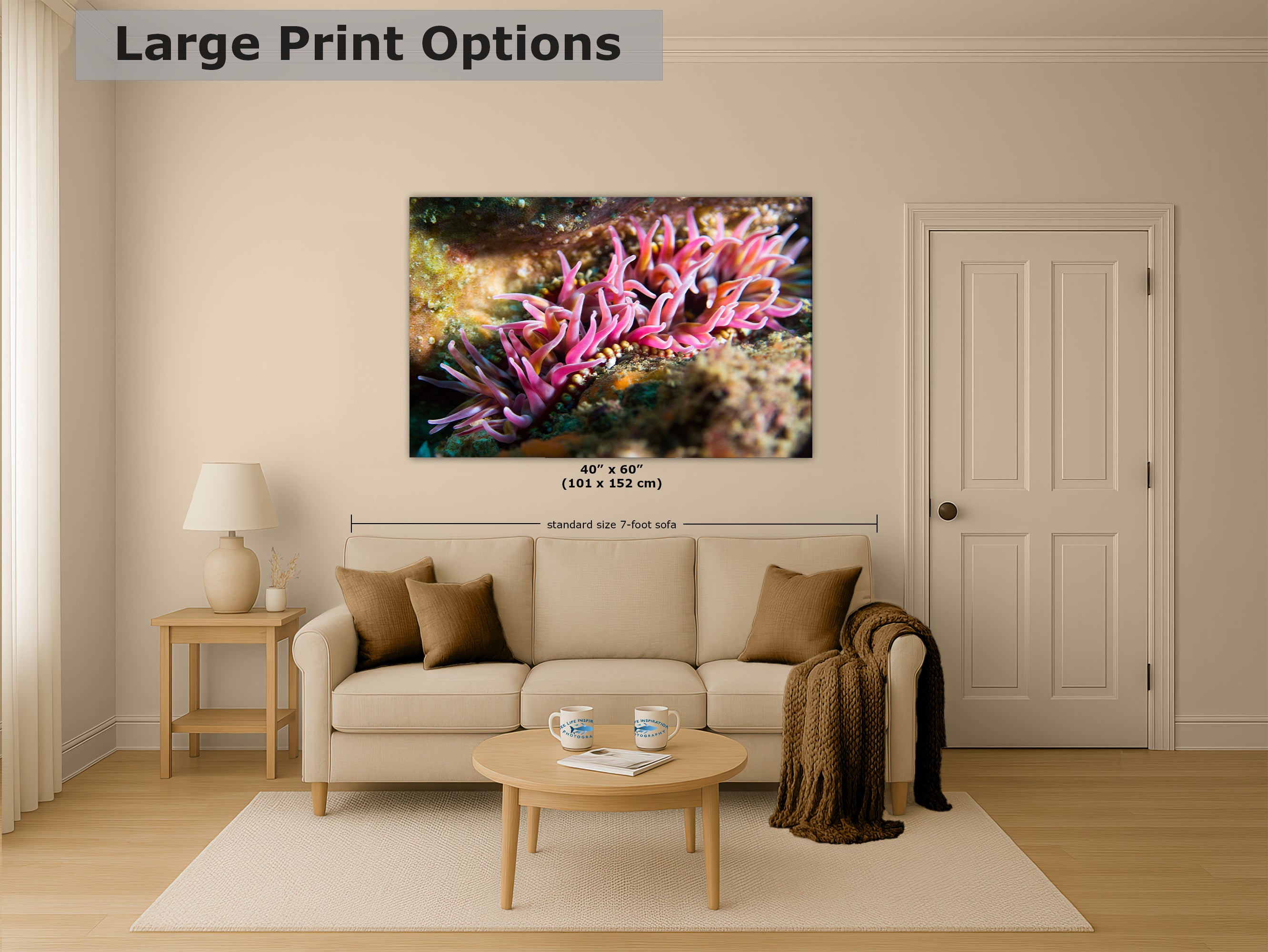 Sea Anemone Picture Ocean Life Underwater Scenery Nature Photo, Marine Biology Coral Reef Art, Vibrant Marine Wildlife Wall Decor