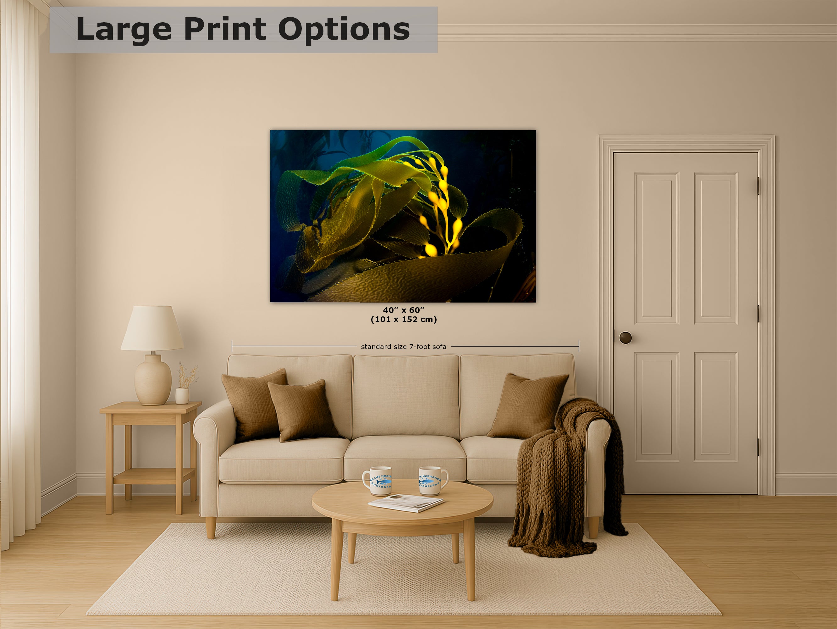 Kelp forest seaweed pictures underwater scenery, ocean life marine biology art, relaxation decor, ocean lover gift, deep sea nature photo