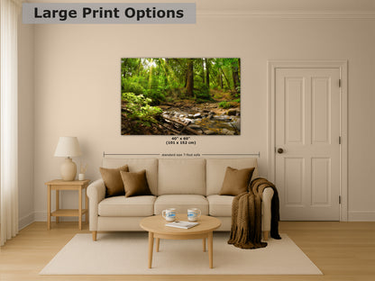 Redwood Trees Forest Picture Nature Photo, Forest Bathing in Santa Cruz California Coast Wall Art, Relaxing Artwork for House Decor & Office