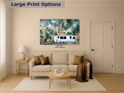 Airstream with Coast Live Oak Camping Decor