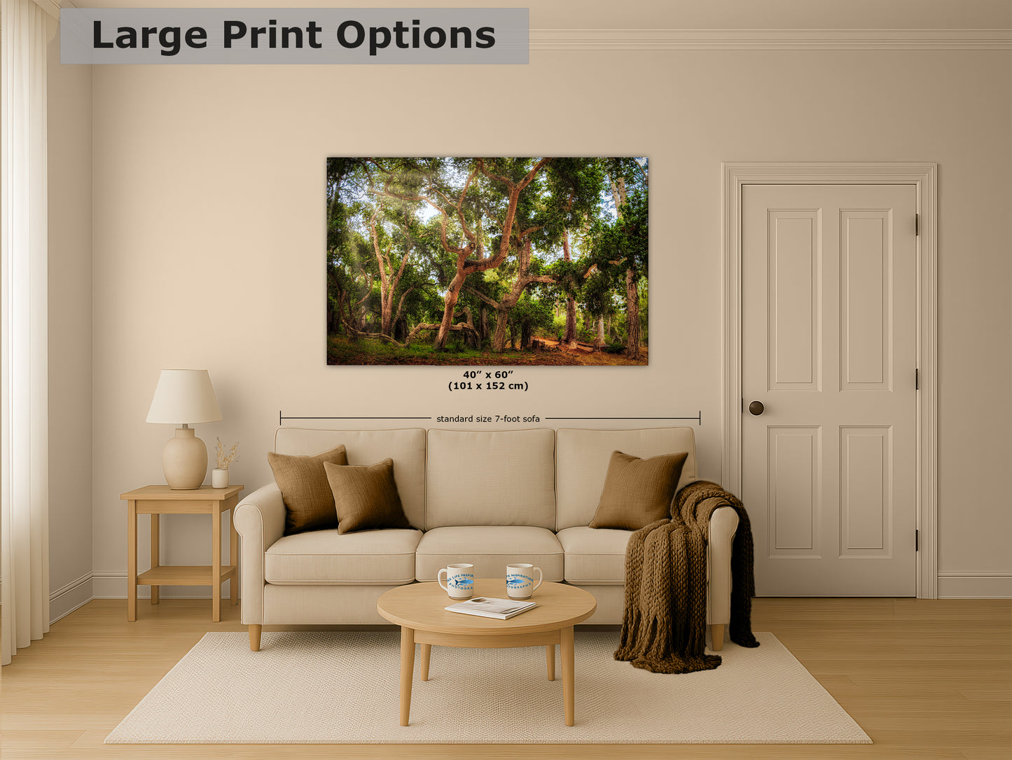 Coast Live Oak Forest Picture Nature Photo House Decor, Forest Bathing for Meditation, Relaxation, Dorm Room Decor