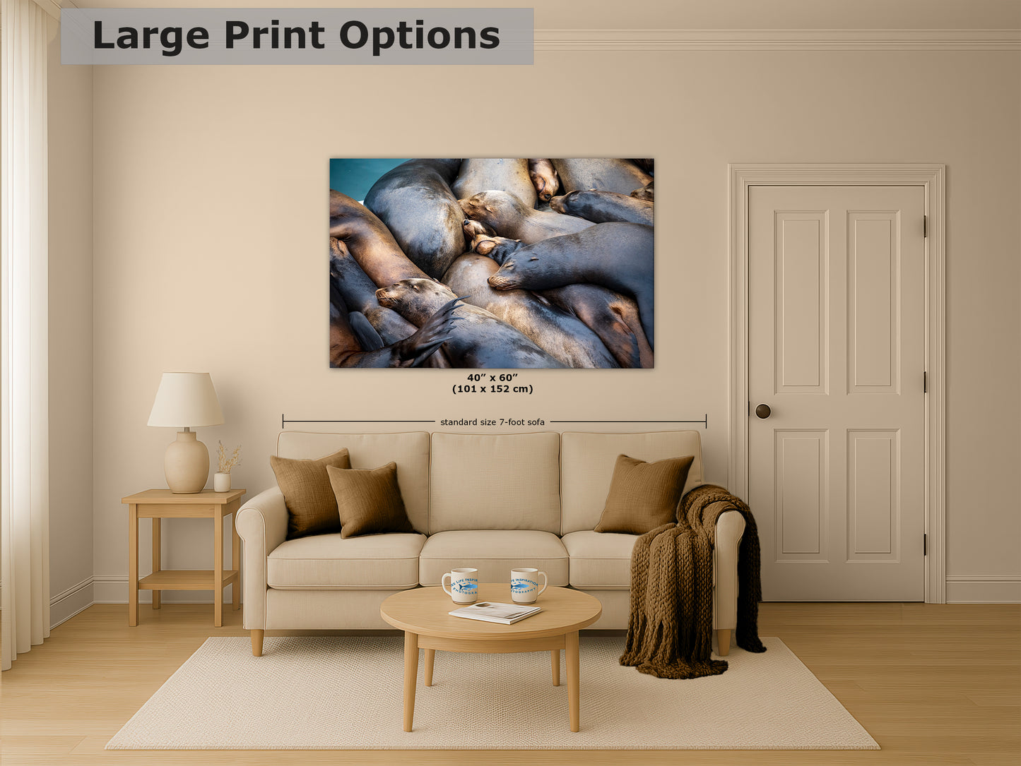 California Sea Lion Marine Mammal Wildlife Photography Wall Art - Ocean Animals Nursery Decor Coastal Home Artwork, Marine Biology Print
