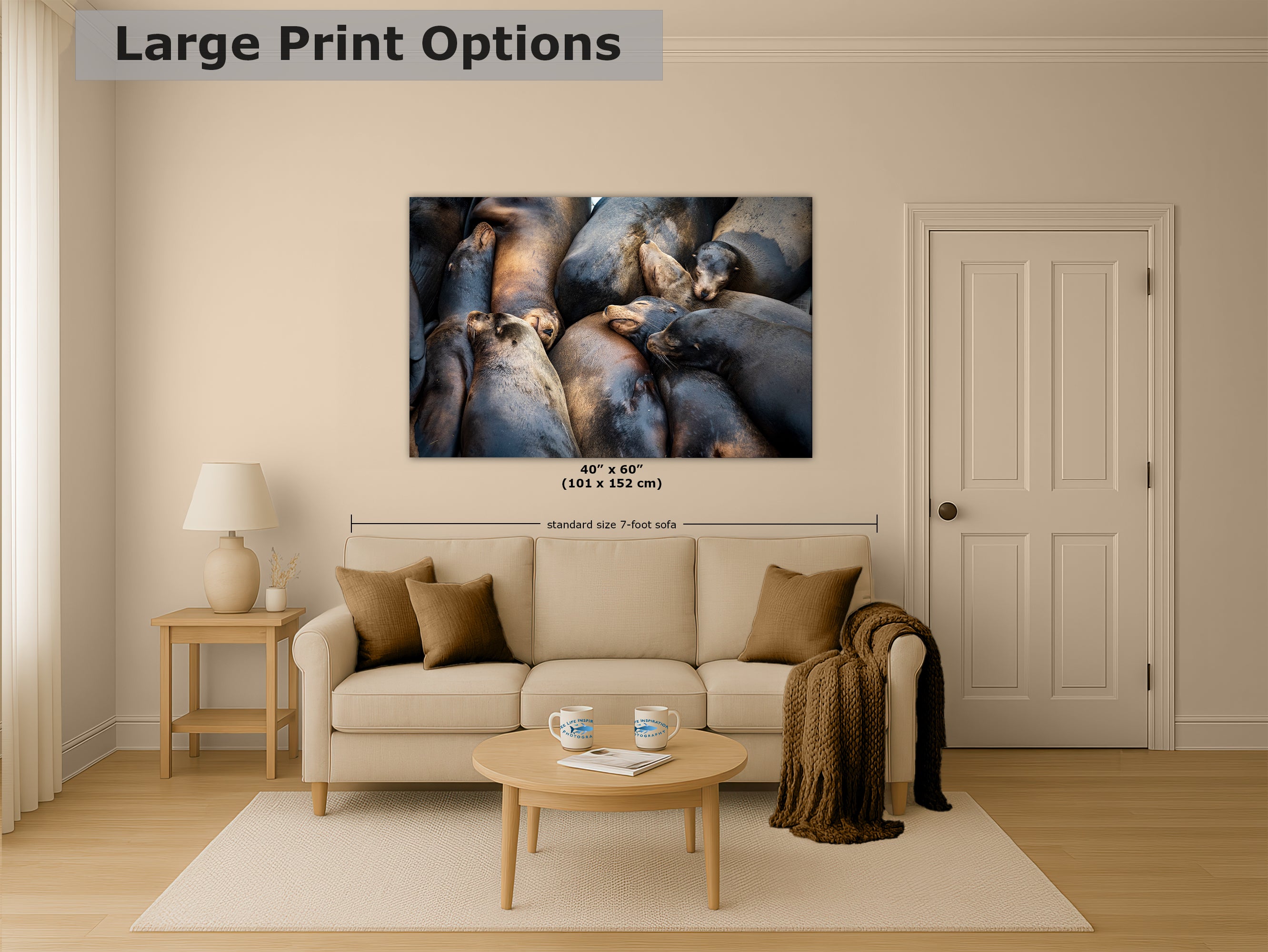 California Sea Lion Marine Mammal Wildlife Photography, Ocean Animals Nursery Decor, Relaxation Artwork for Beach-Themed Rooms