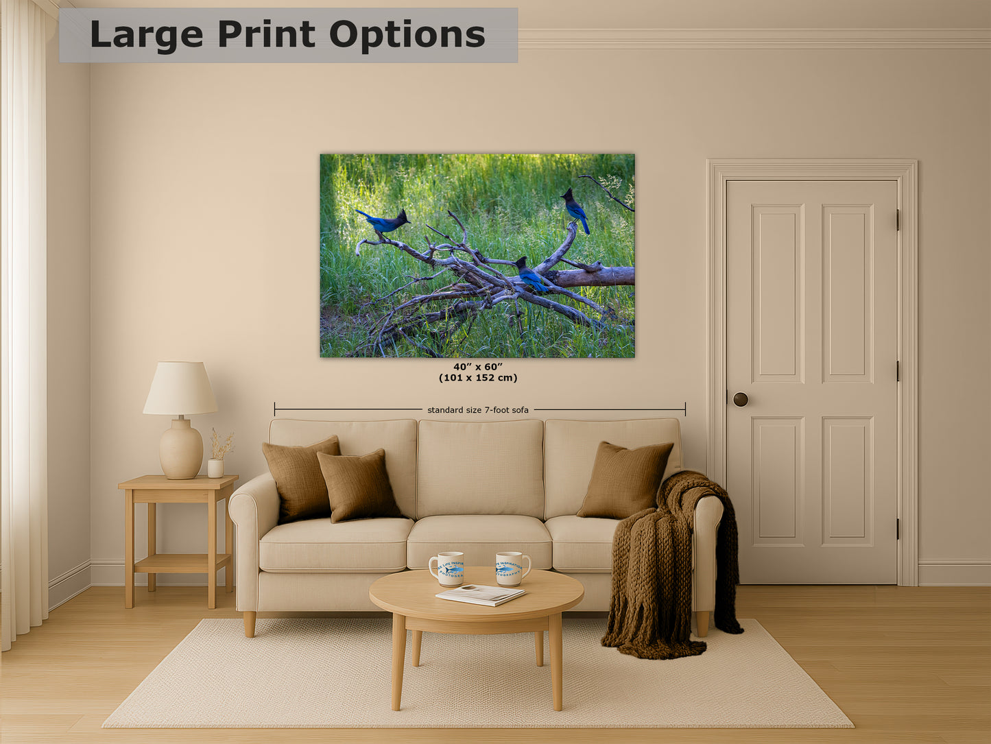Steller Jay Wildlife Photography Print, Bird Wall Art, Nature Photography, Blue Bird Picture, Relaxing Dorm Room or Office Wall Art