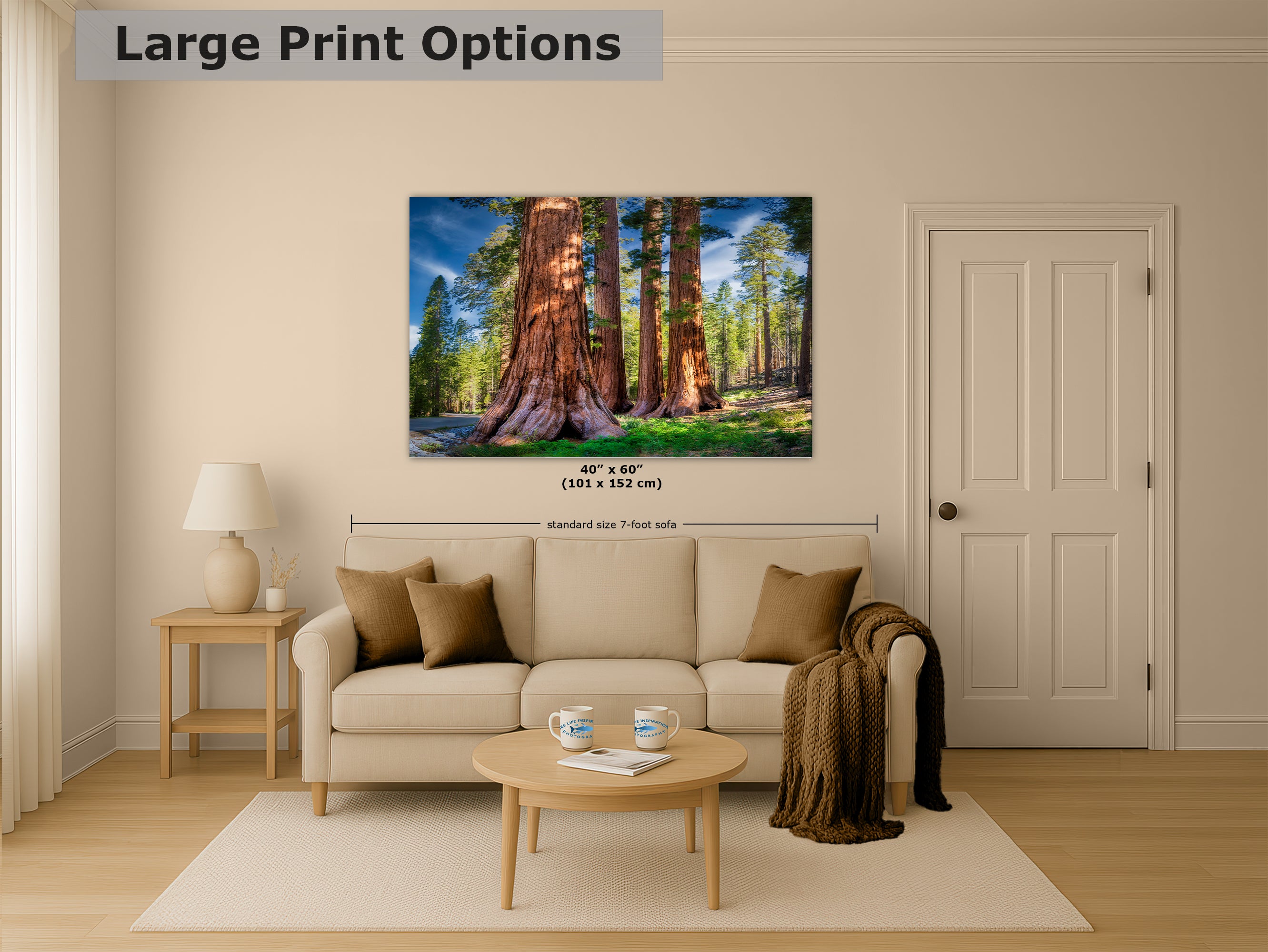 Giant Sequoia Tree Forest Picture Nature Photo, Redwood Trees Forest Bathing for Relaxation and Meditation in Living Room and Office