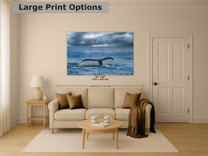 Humpback Whale Marine Mammal Wildlife Photography | Monterey Bay Ocean Scene Art Print for Nature Lovers and Marine Conservation Decor