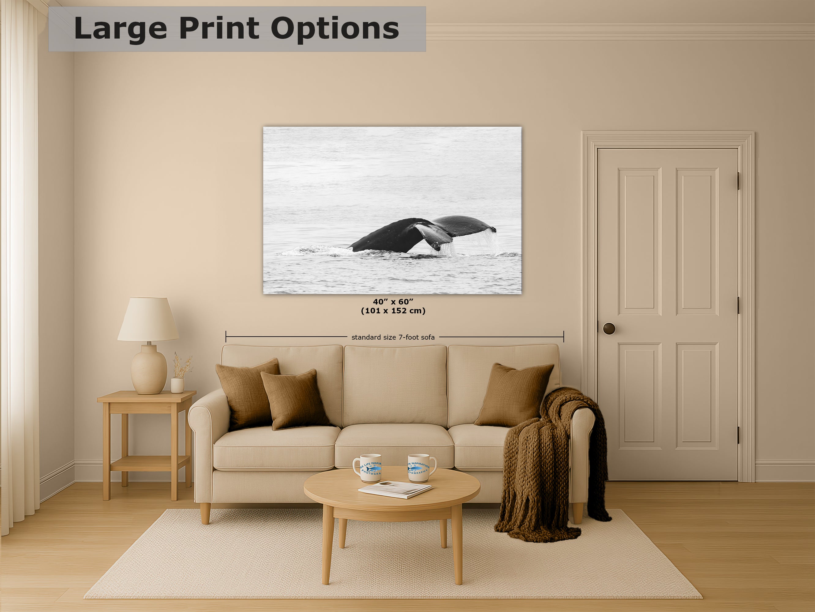 Humpback Whale Marine Mammal Wildlife Photography, Black and White, Monterey Bay Ocean Scene Art Print for Nature Lovers and Marine Conservation Decor