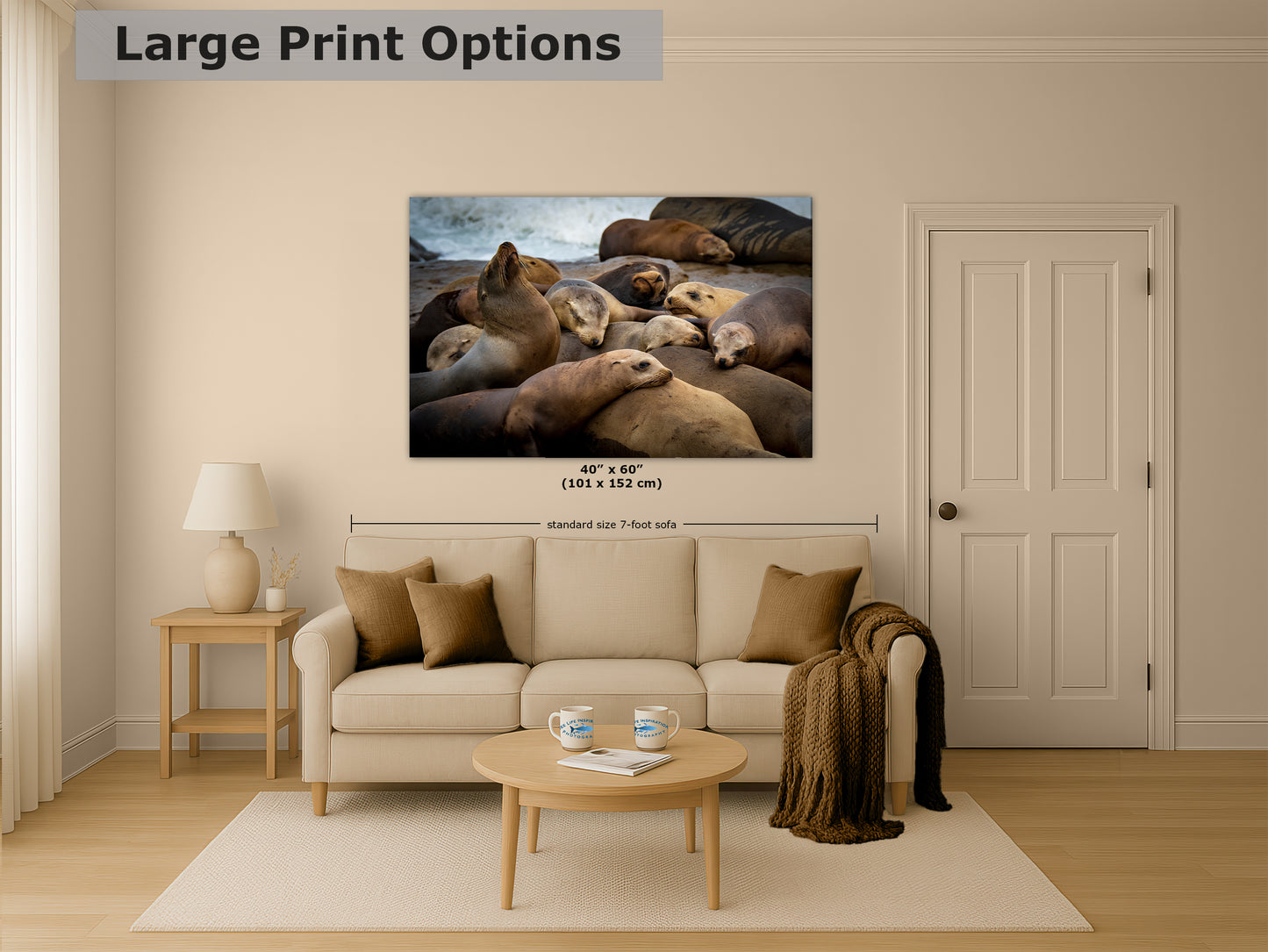 California Sea Lion Marine Mammal Wildlife Photography, Ocean Animals Wall Art, Nature Lover Gift, Marine Biology Artwork