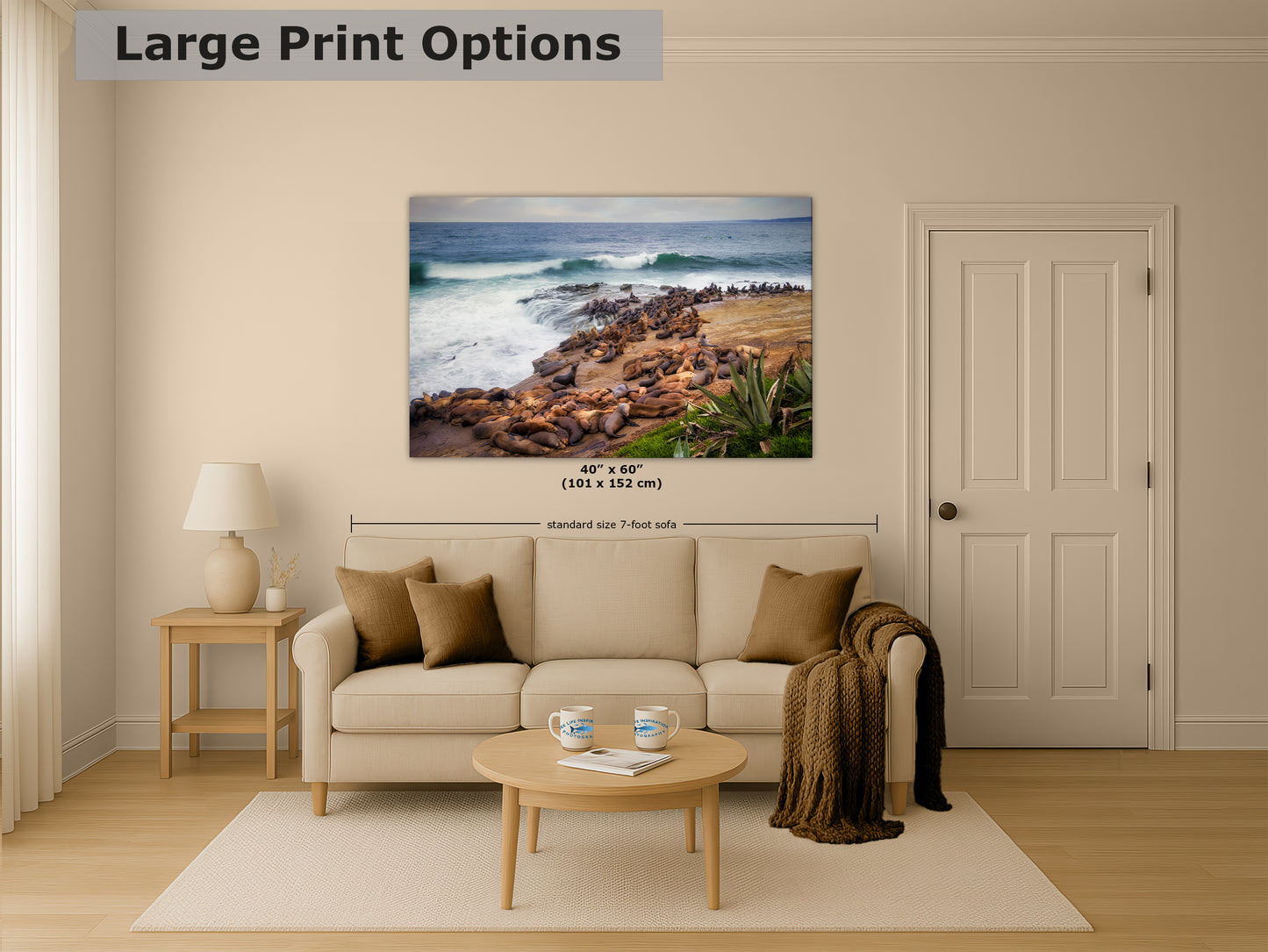 California Sea Lion Marine Mammal Wildlife Photography | Calming Nature Ocean Picture, Relaxation Artwork, La Jolla Coast, Nature Photo