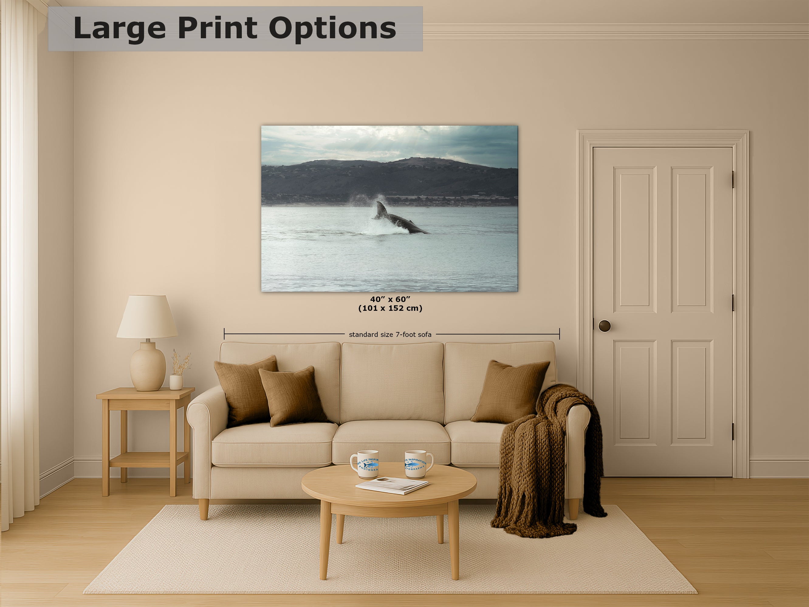 Humpback Whale Marine Mammal Wildlife Photography, Ocean Nature Art, Marine Conservation, Dolphin & Sea Life Gift, House Decor